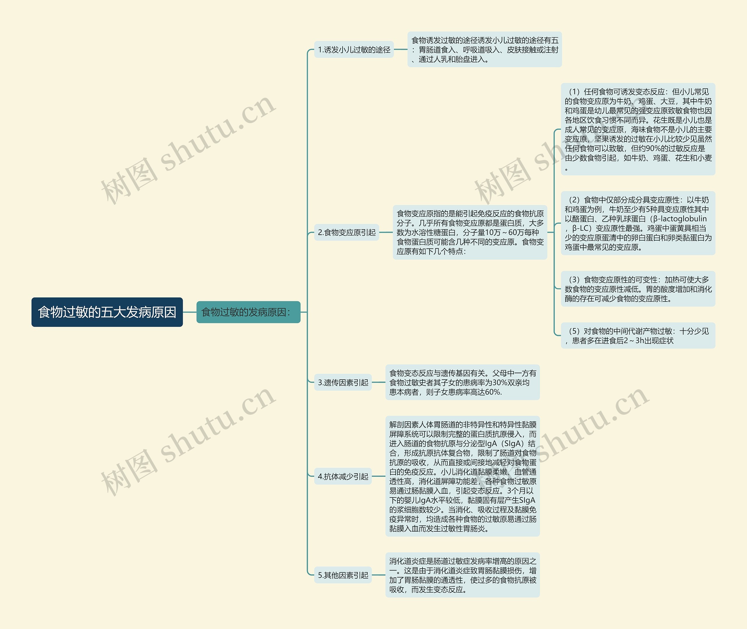 食物过敏的五大发病原因思维导图