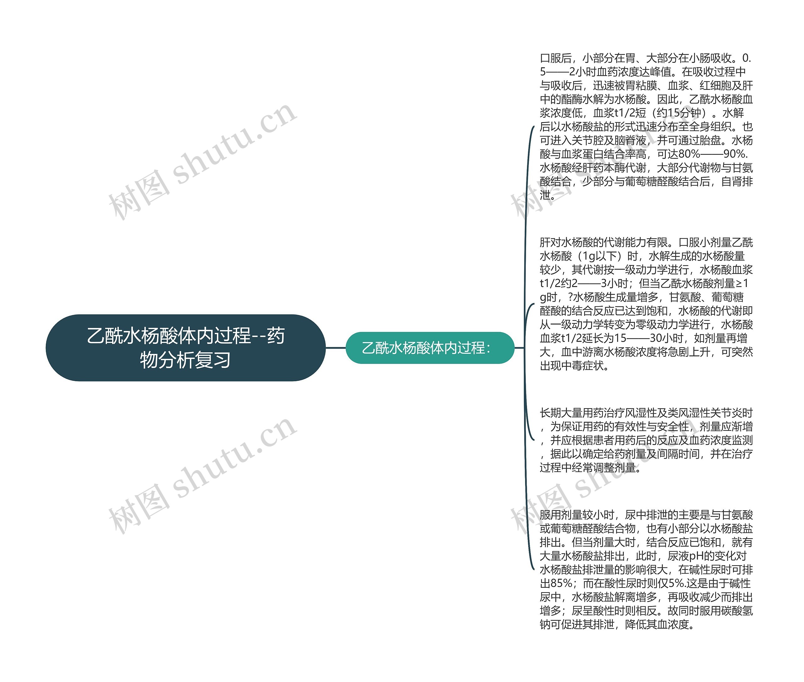 乙酰水杨酸体内过程--药物分析复习思维导图