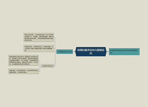 病毒的基本结构与复制结构