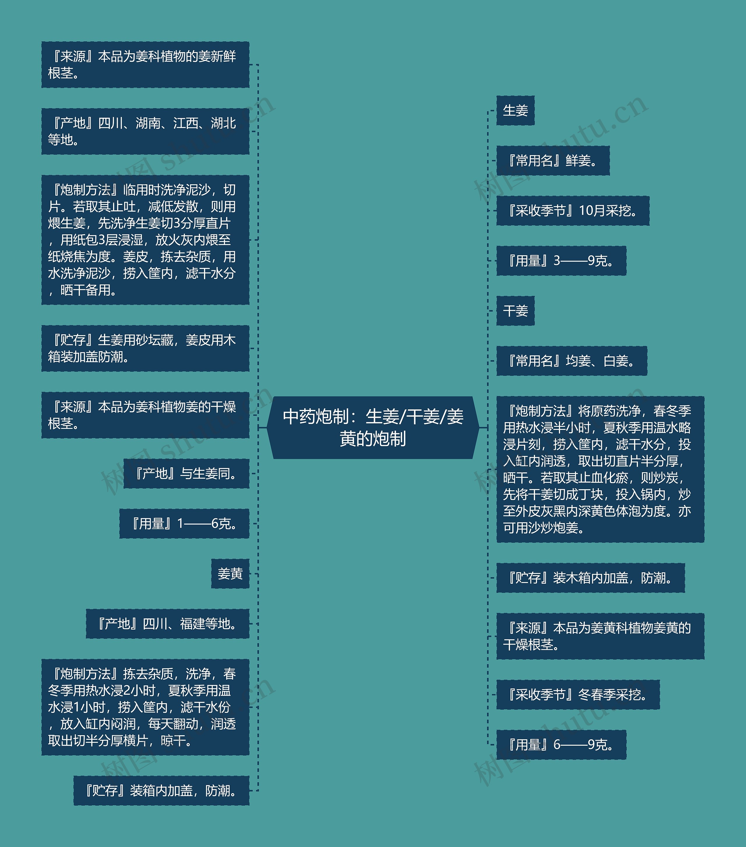 中药炮制：生姜/干姜/姜黄的炮制思维导图