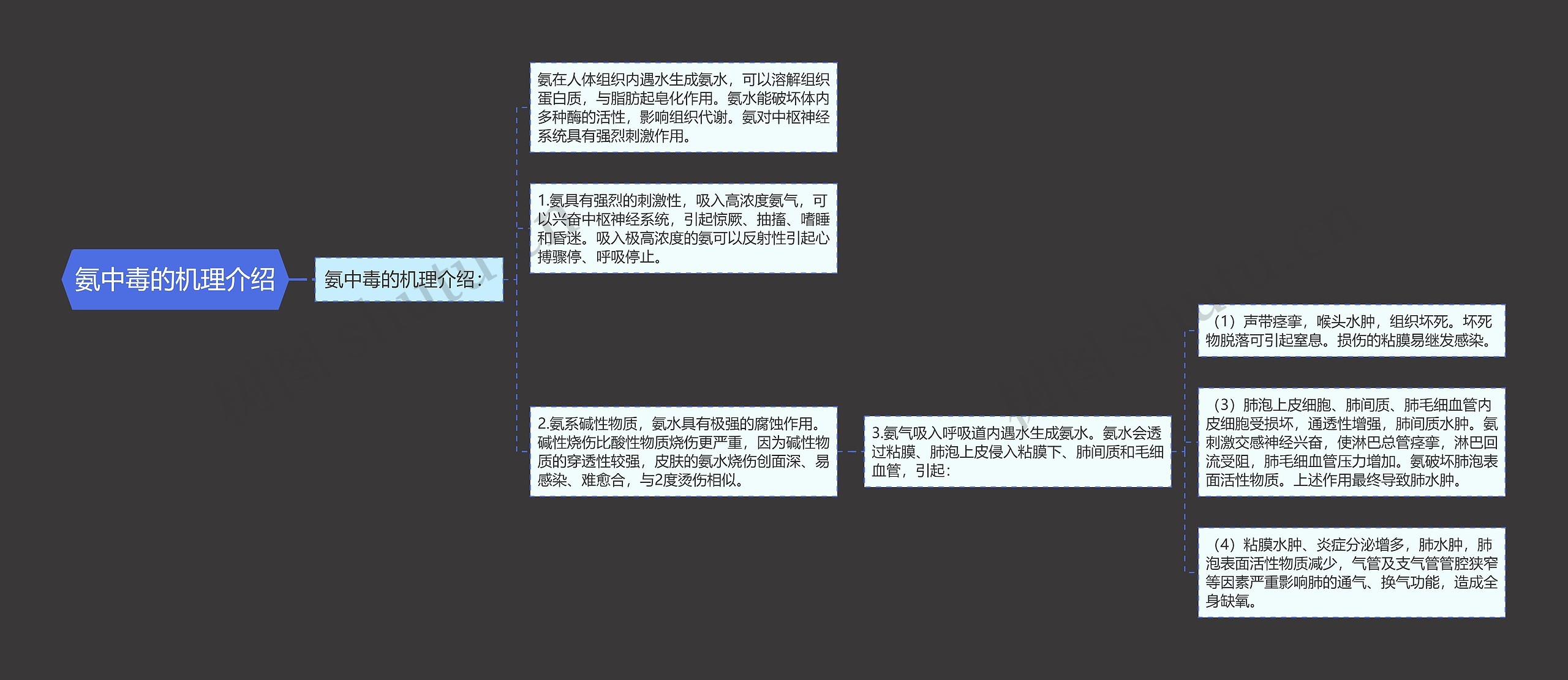 氨中毒的机理介绍思维导图