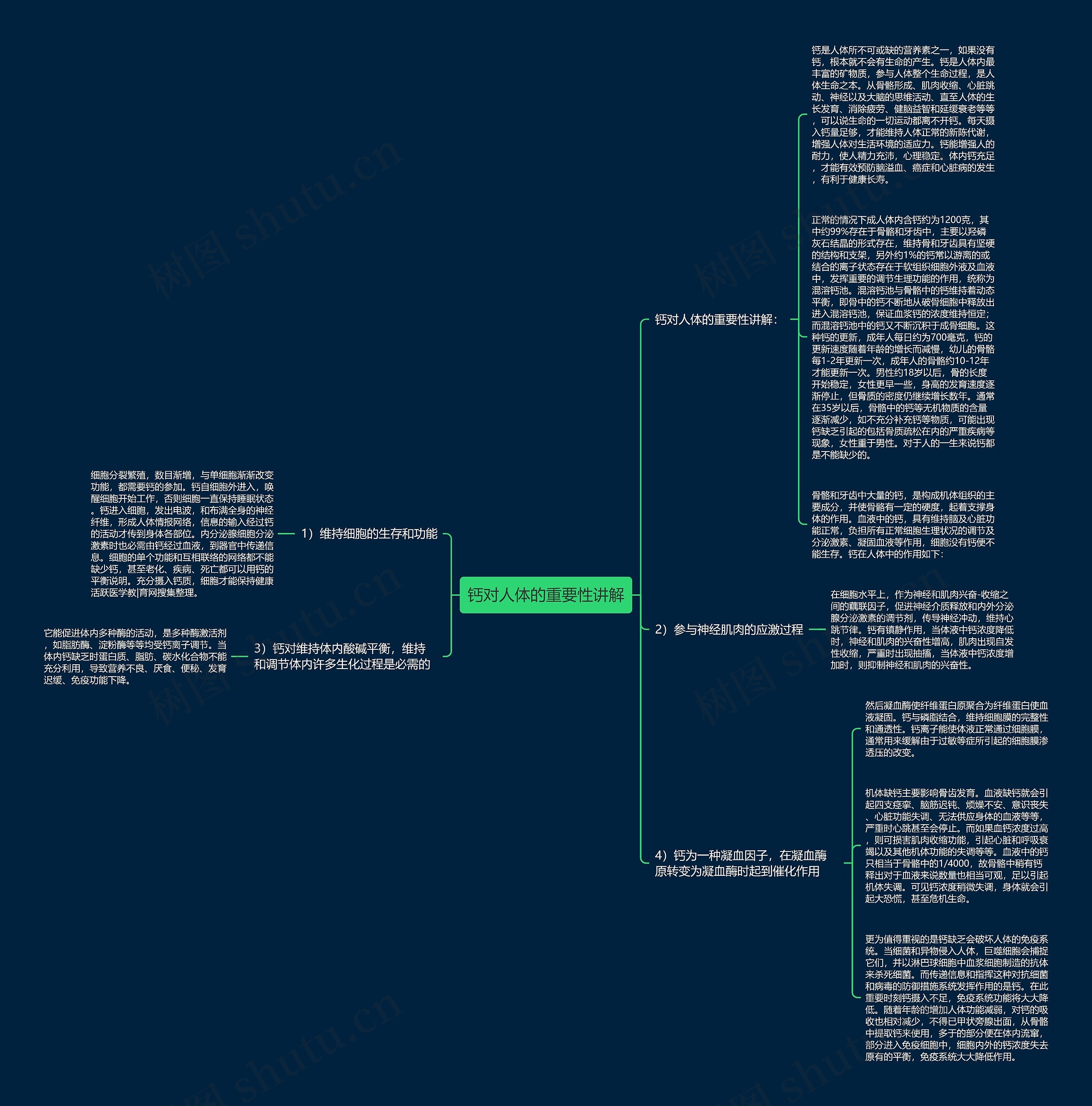 钙对人体的重要性讲解思维导图