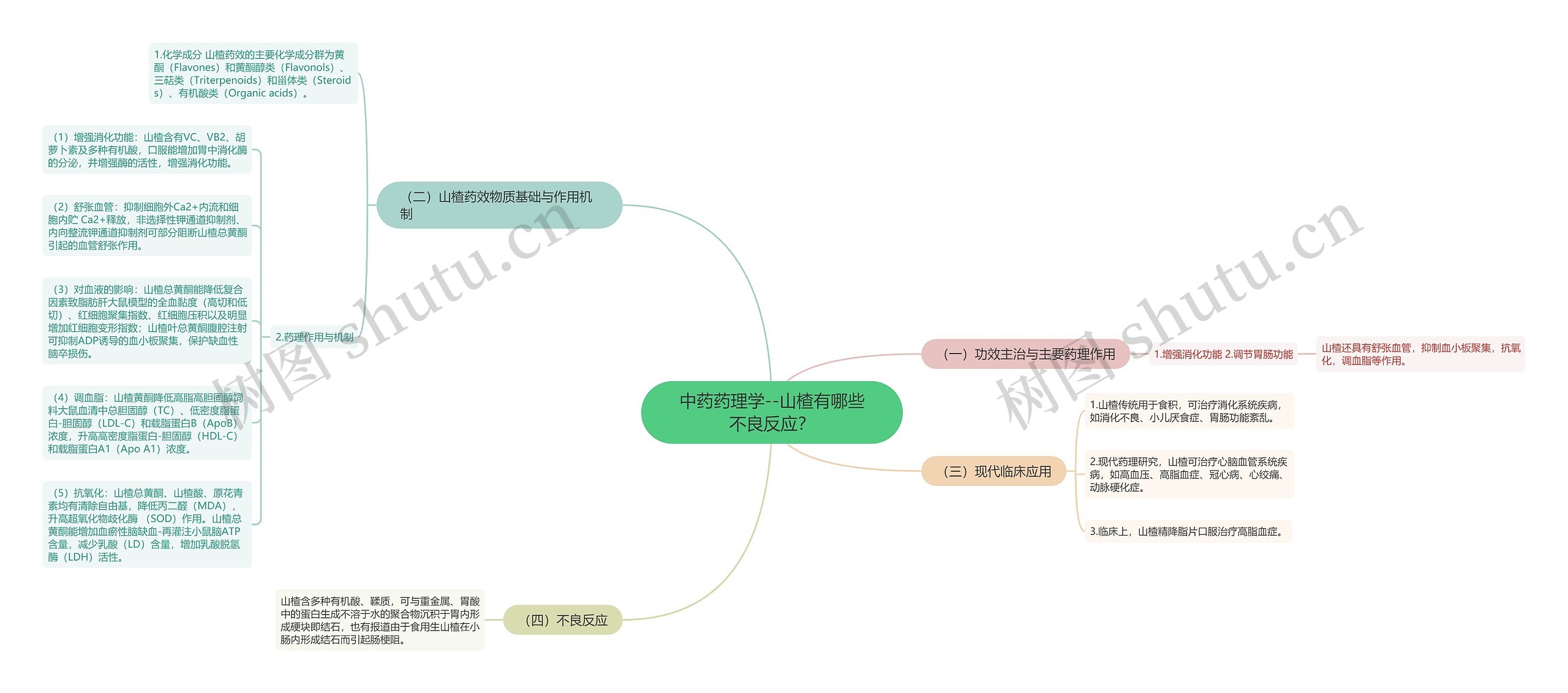 中药药理学--山楂有哪些不良反应？思维导图