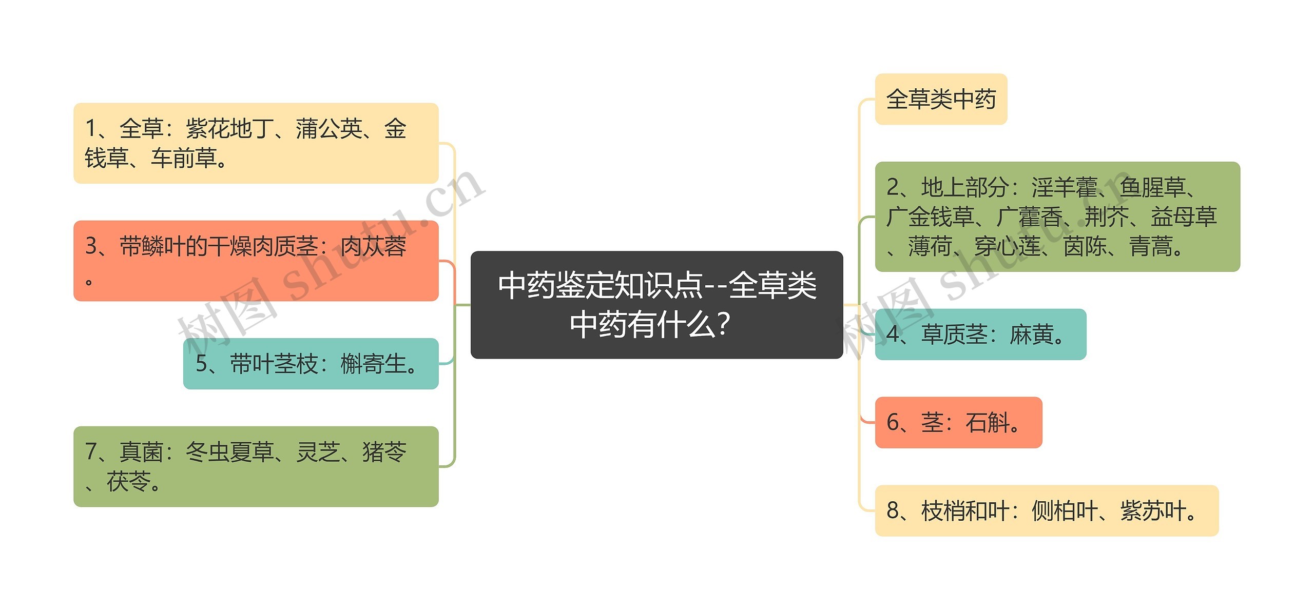 中药鉴定知识点--全草类中药有什么？