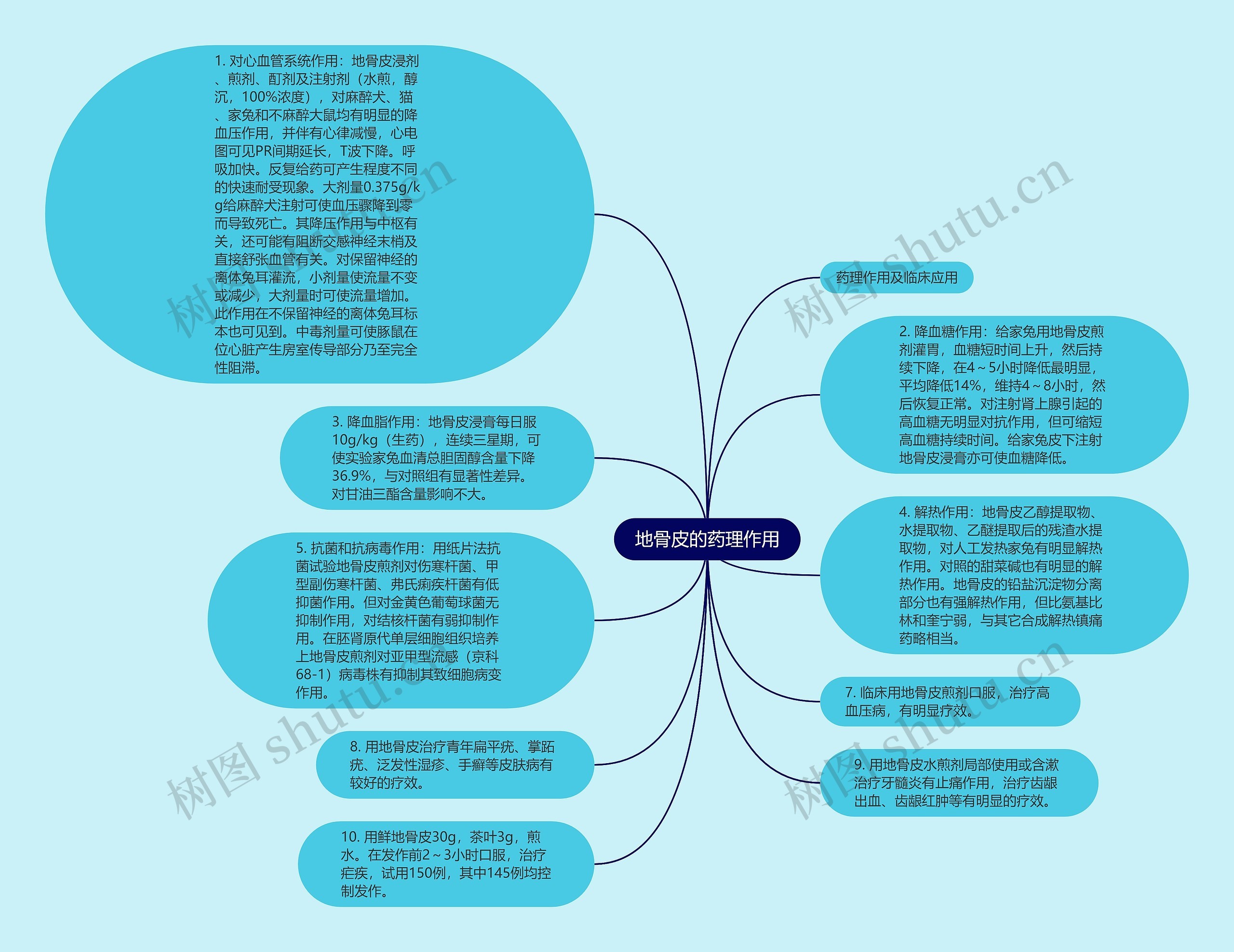 地骨皮的药理作用思维导图