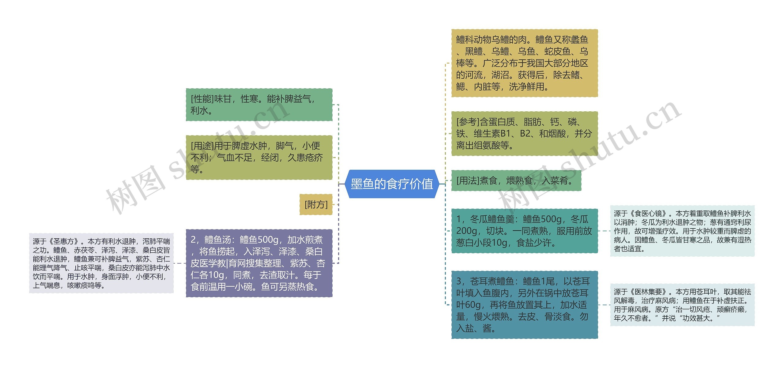 墨鱼的食疗价值思维导图