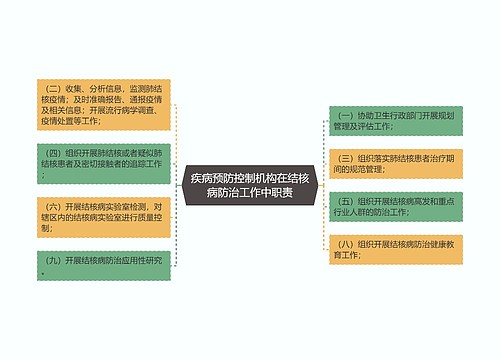 疾病预防控制机构在结核病防治工作中职责