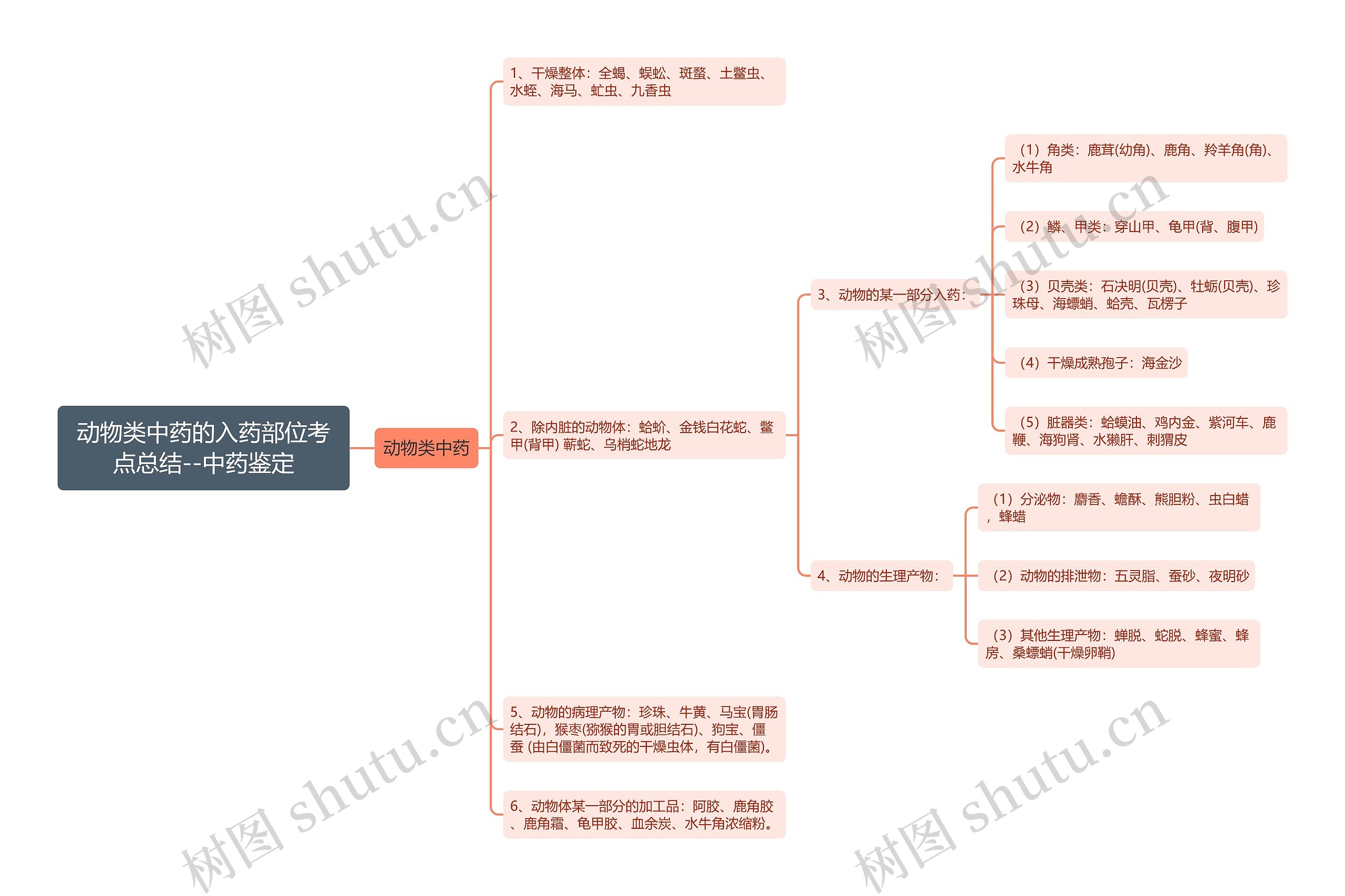 动物类中药的入药部位考点总结--中药鉴定思维导图