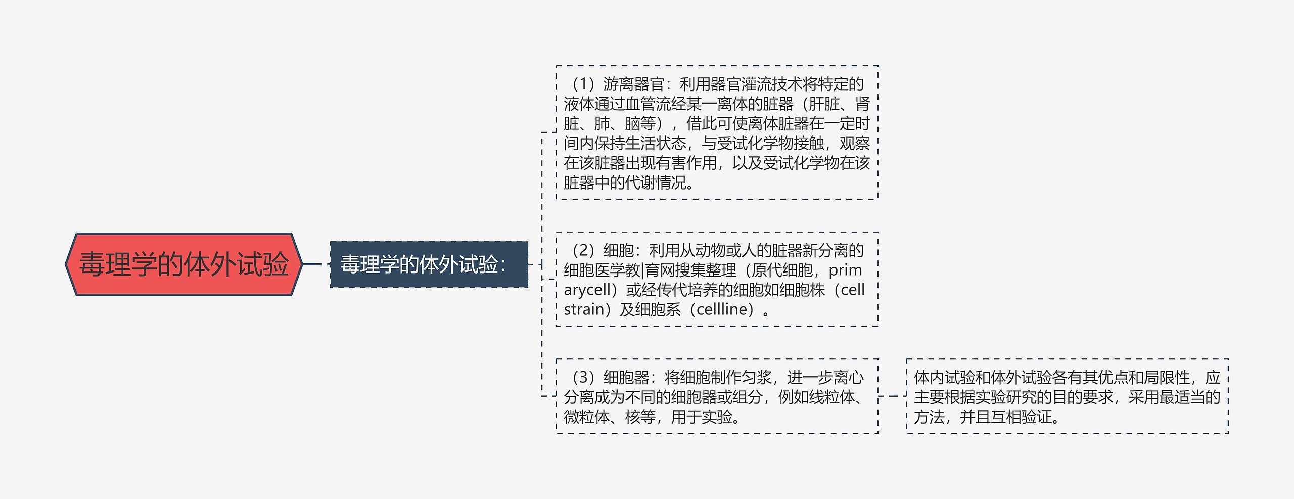 毒理学的体外试验思维导图