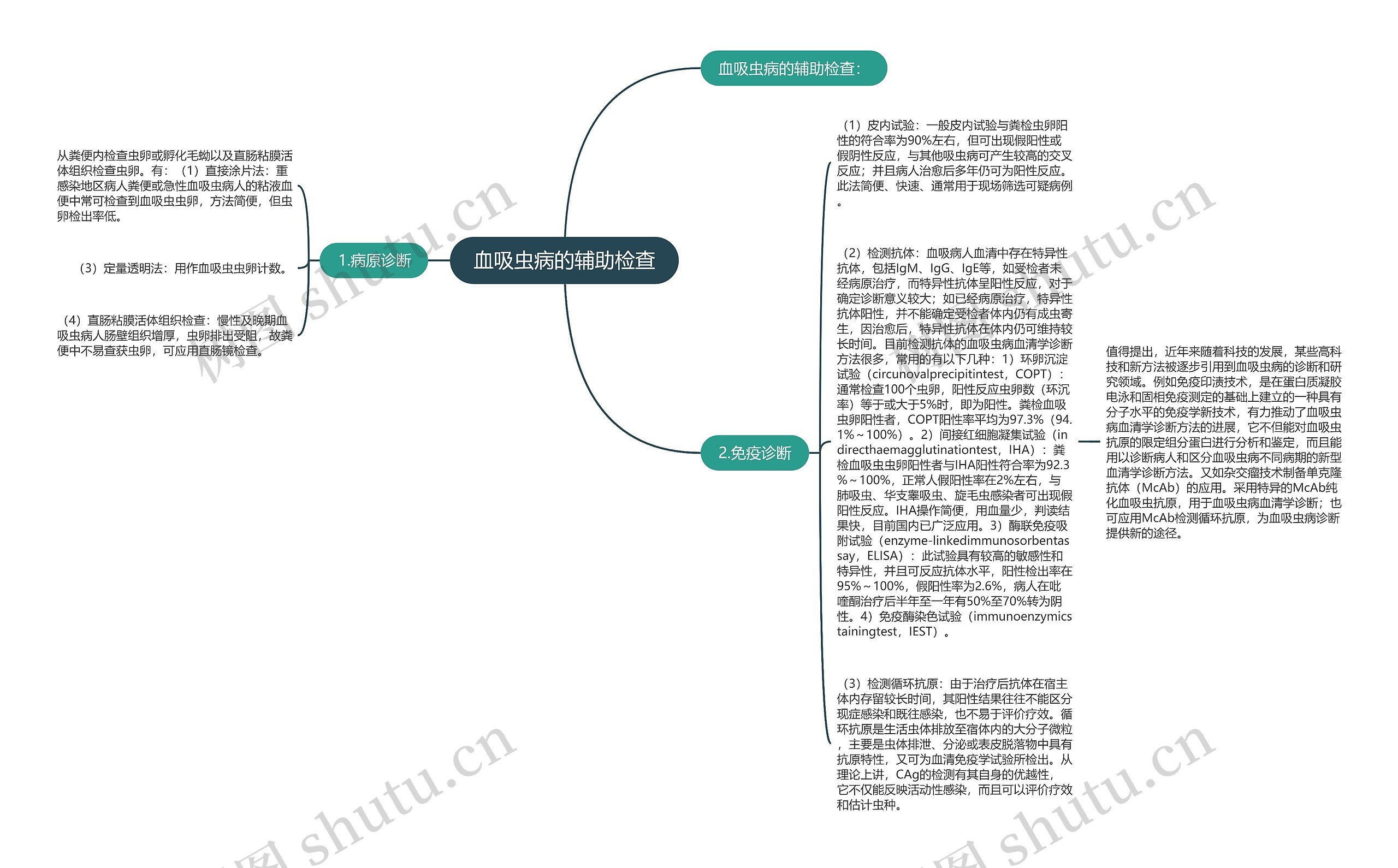 血吸虫病的辅助检查思维导图