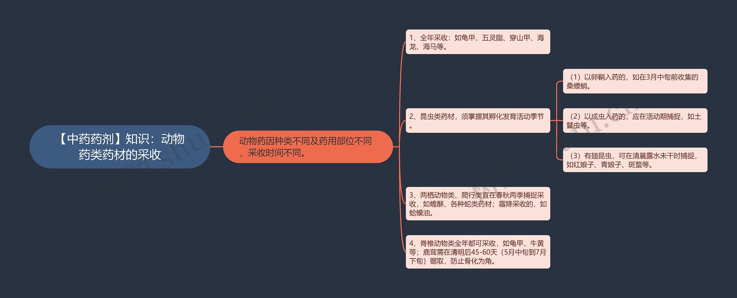 【中药药剂】知识：动物药类药材的采收思维导图