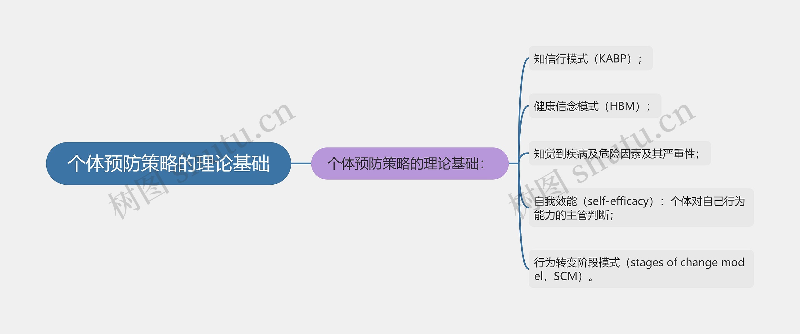 个体预防策略的理论基础思维导图