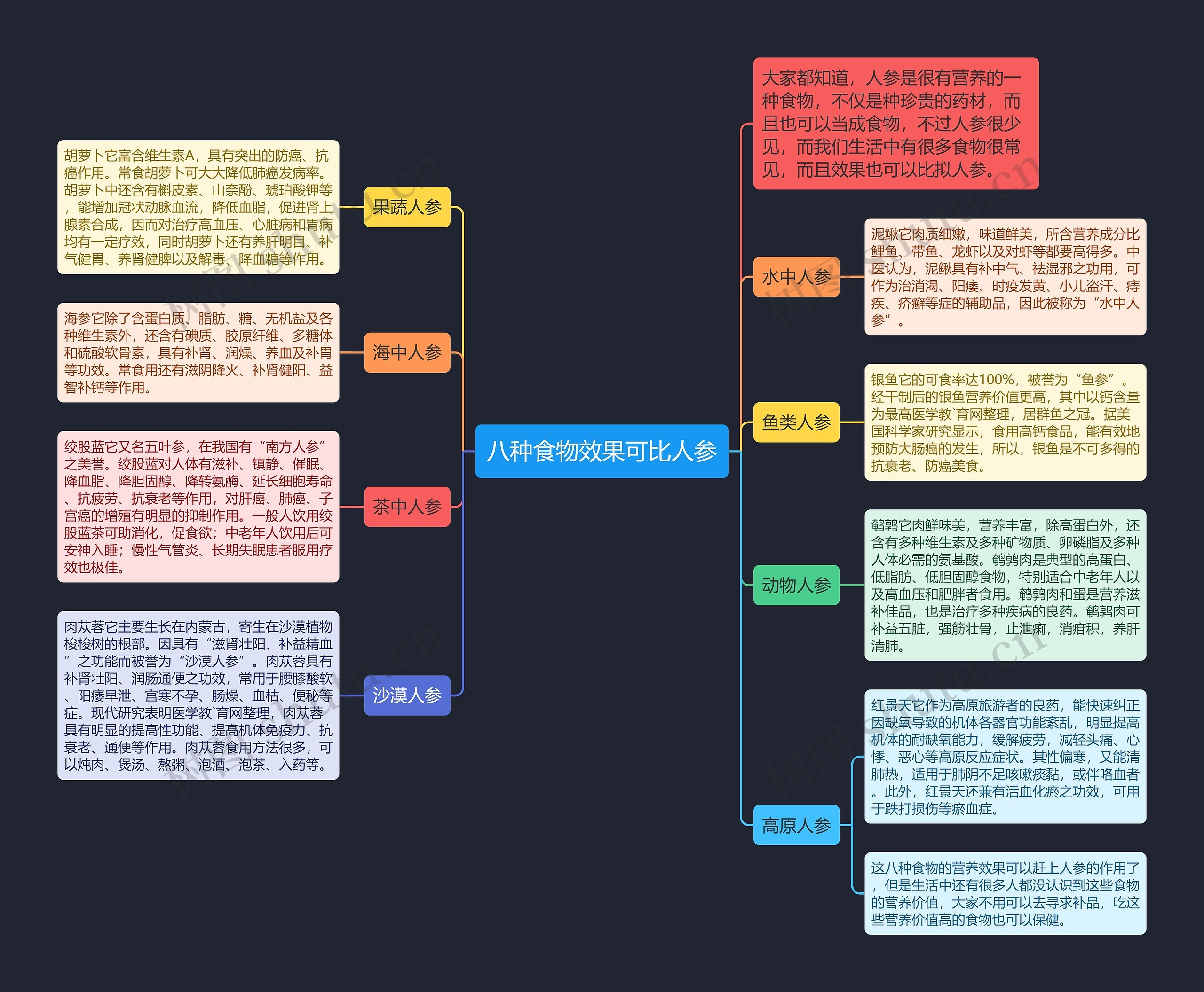 八种食物效果可比人参思维导图