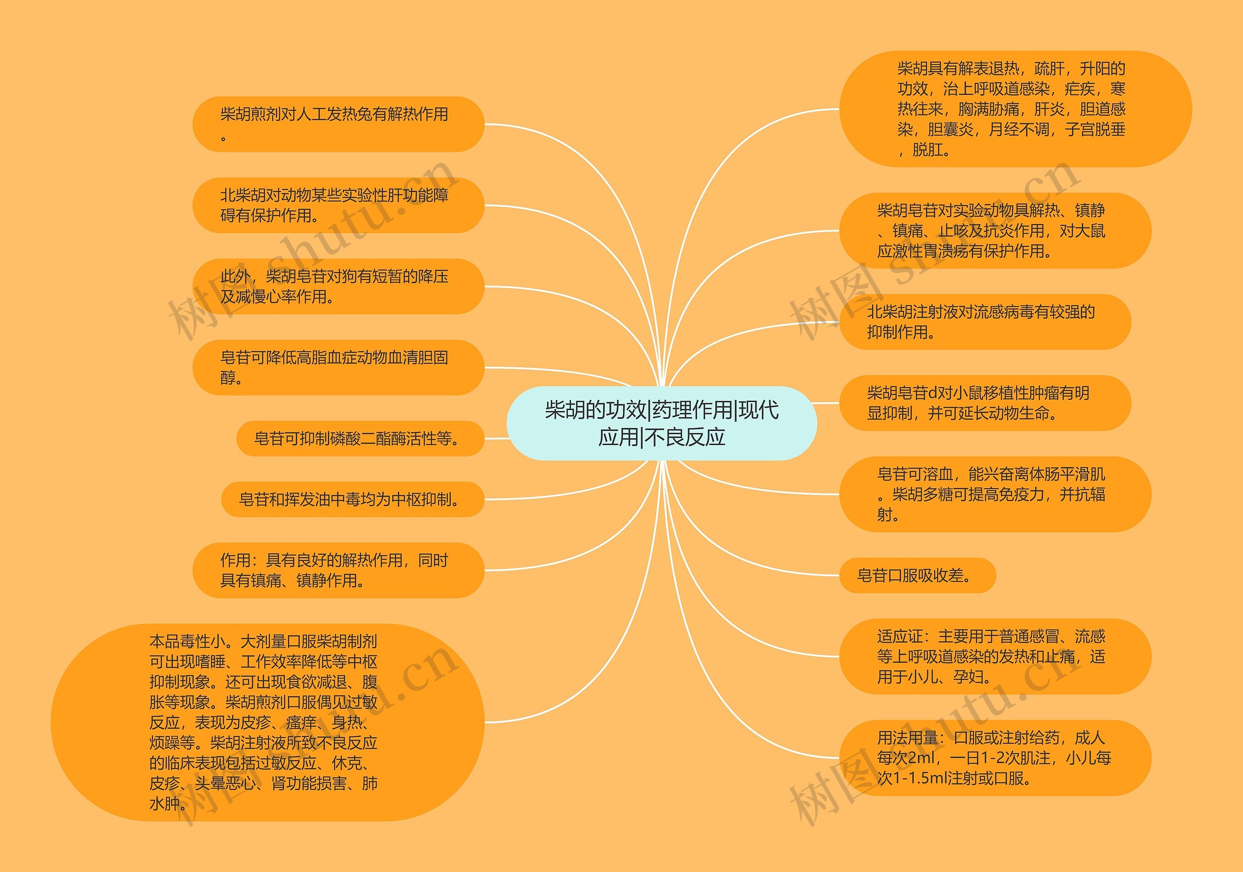 柴胡的功效|药理作用|现代应用|不良反应思维导图