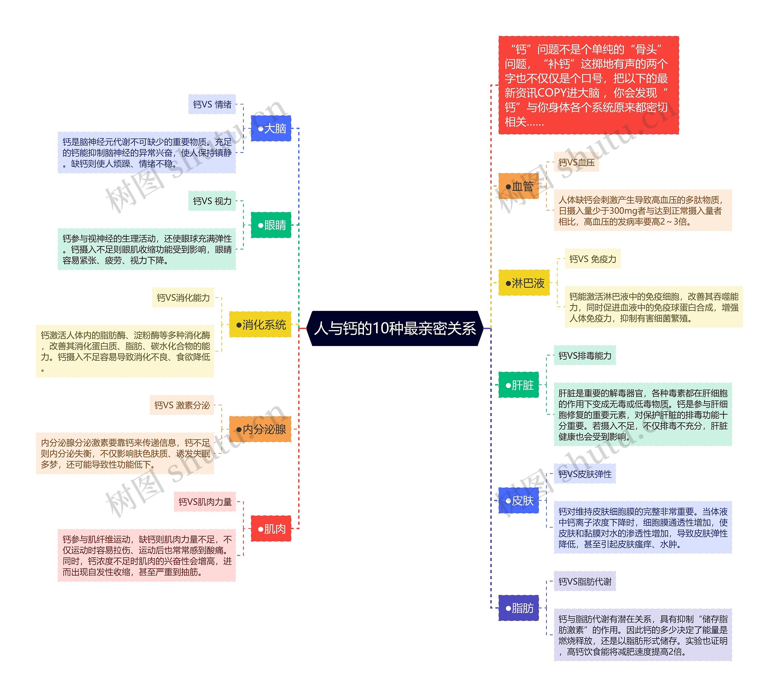 人与钙的10种最亲密关系思维导图