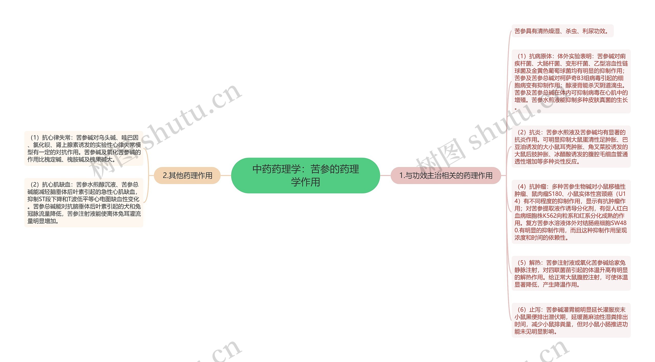 中药药理学：苦参的药理学作用