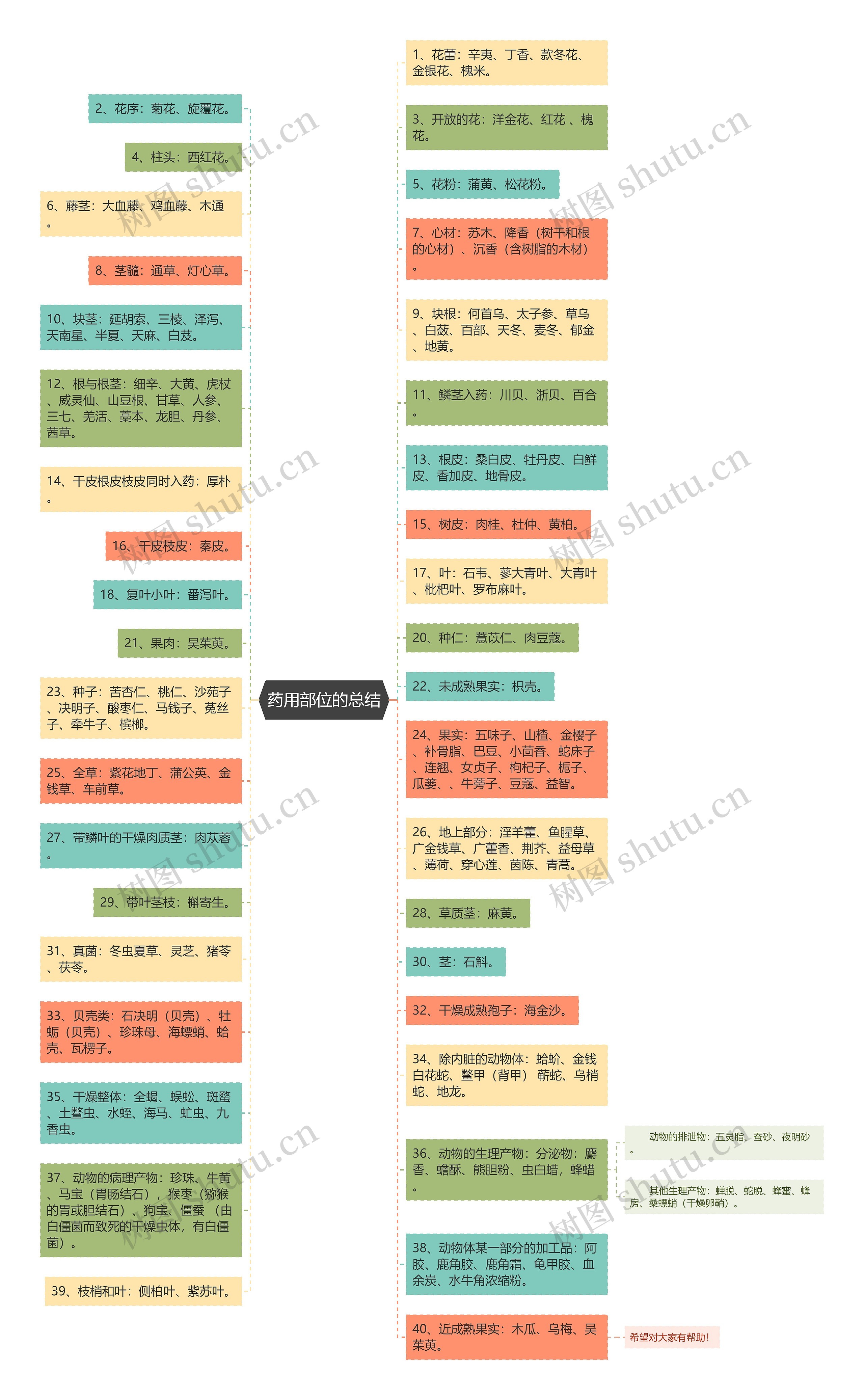 药用部位的总结思维导图