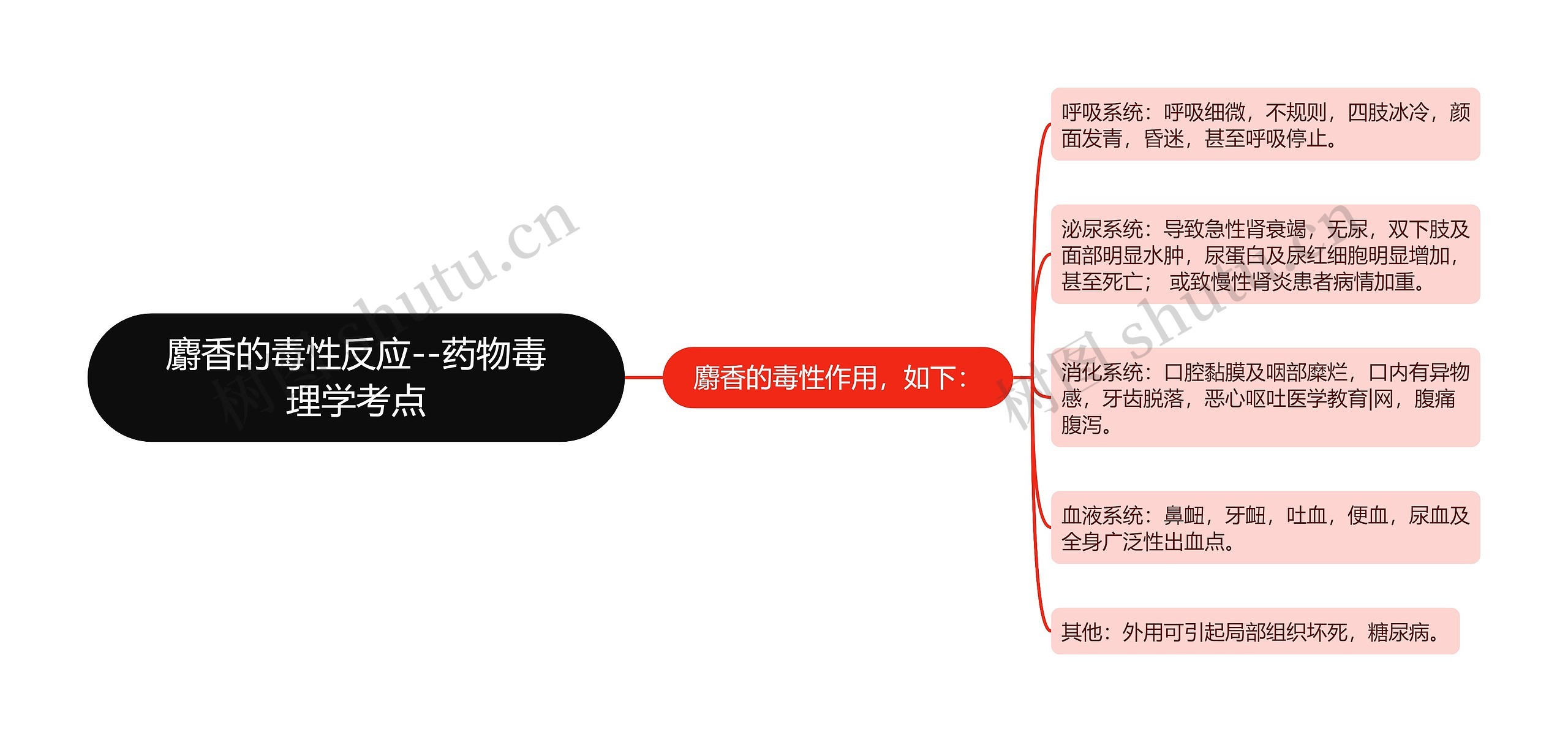 麝香的毒性反应--药物毒理学考点