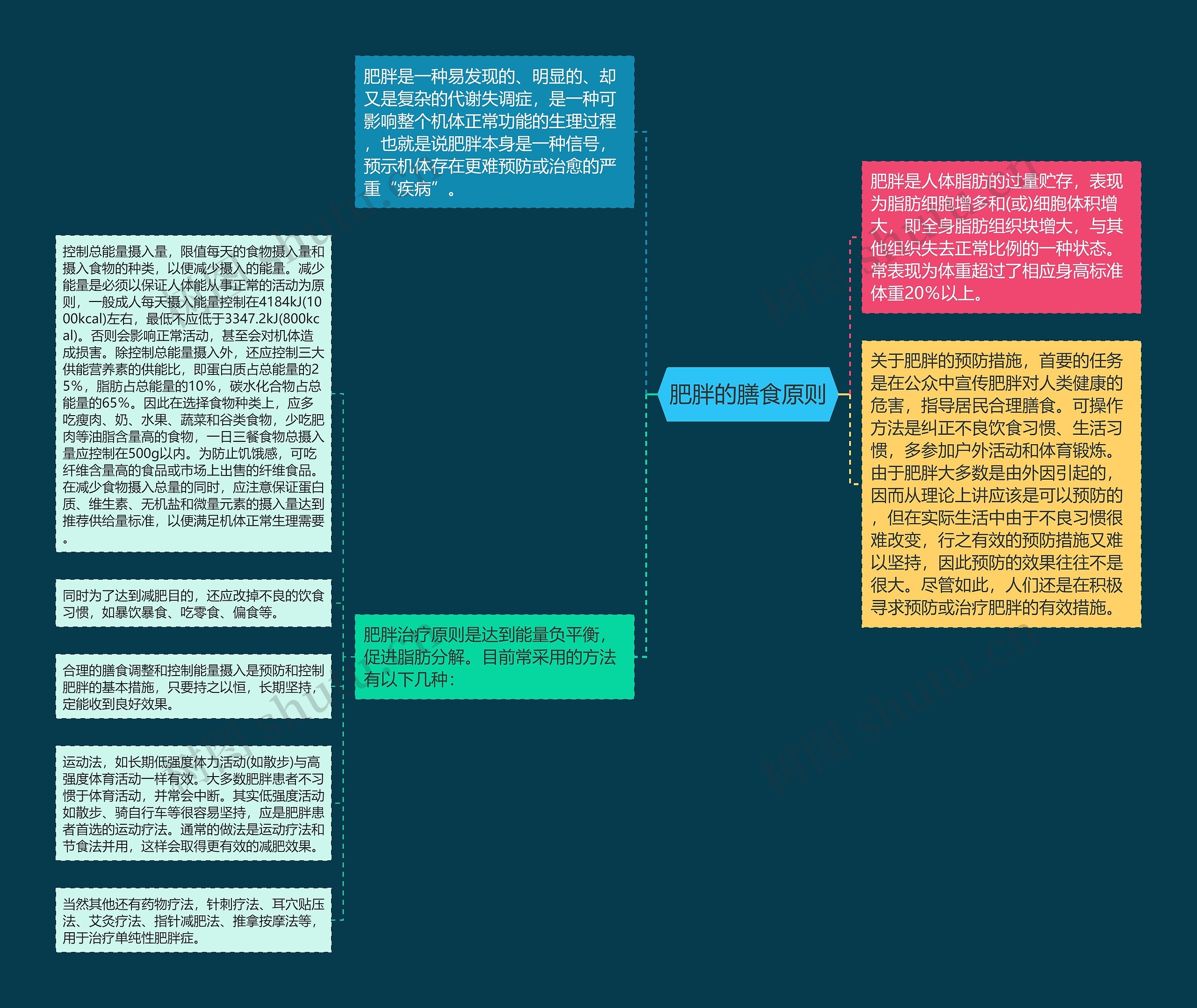 肥胖的膳食原则思维导图