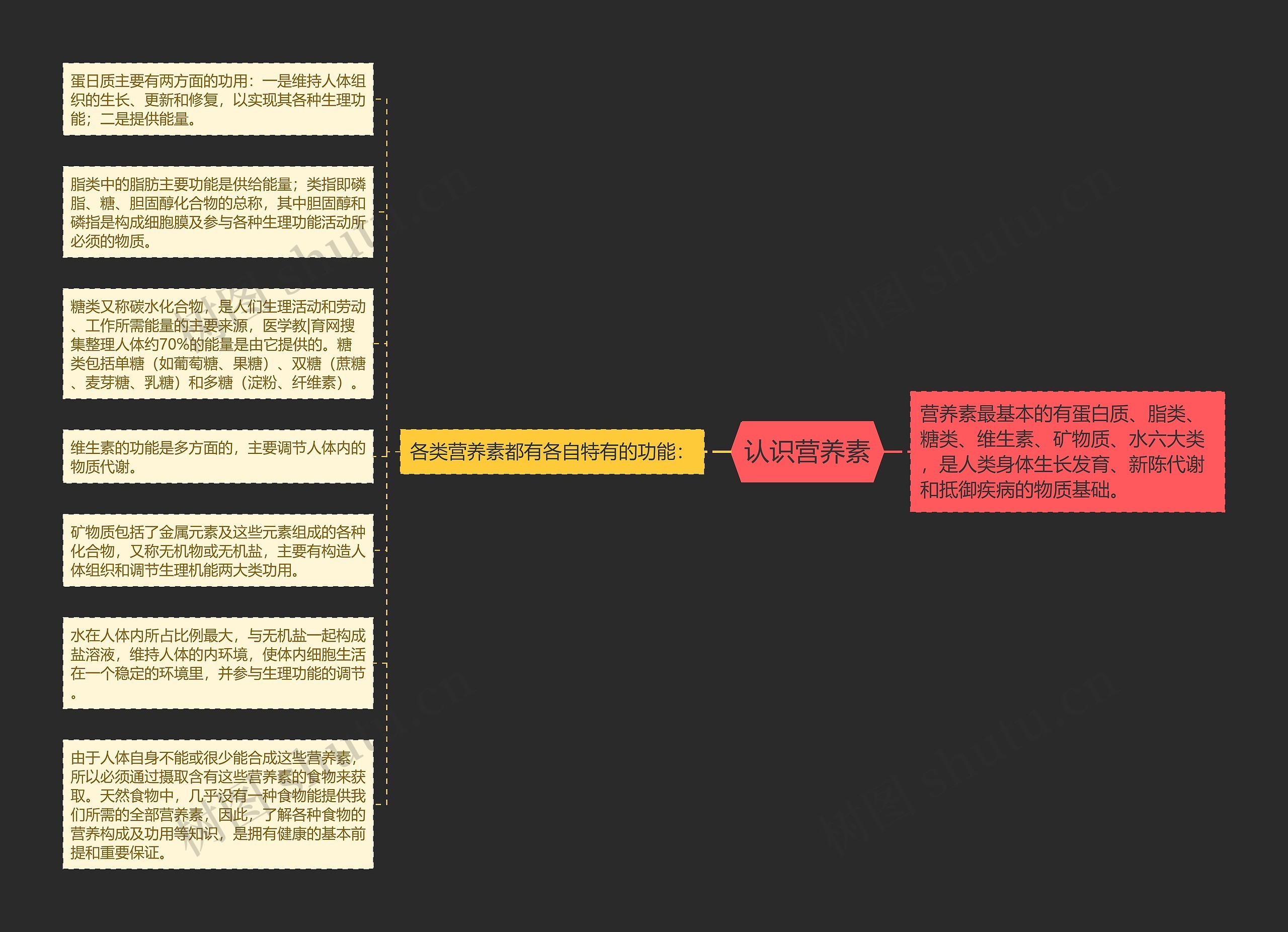 认识营养素思维导图