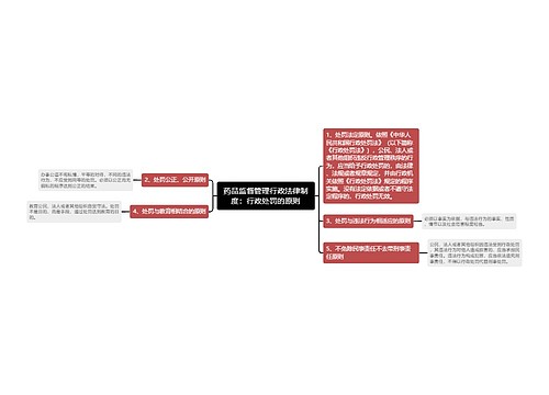 药品监督管理行政法律制度：行政处罚的原则