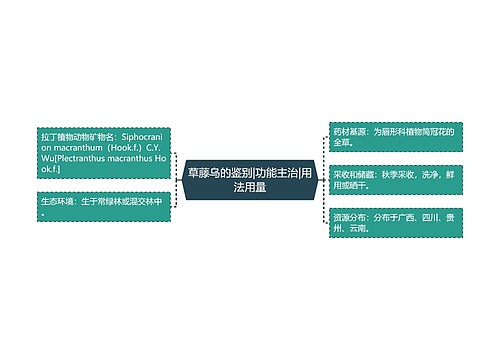 草藤乌的鉴别|功能主治|用法用量