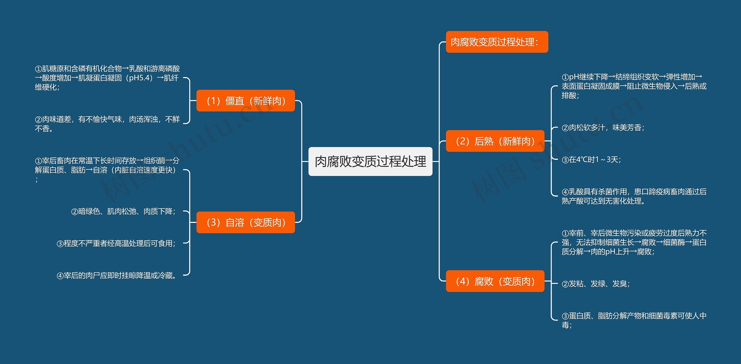 肉腐败变质过程处理思维导图