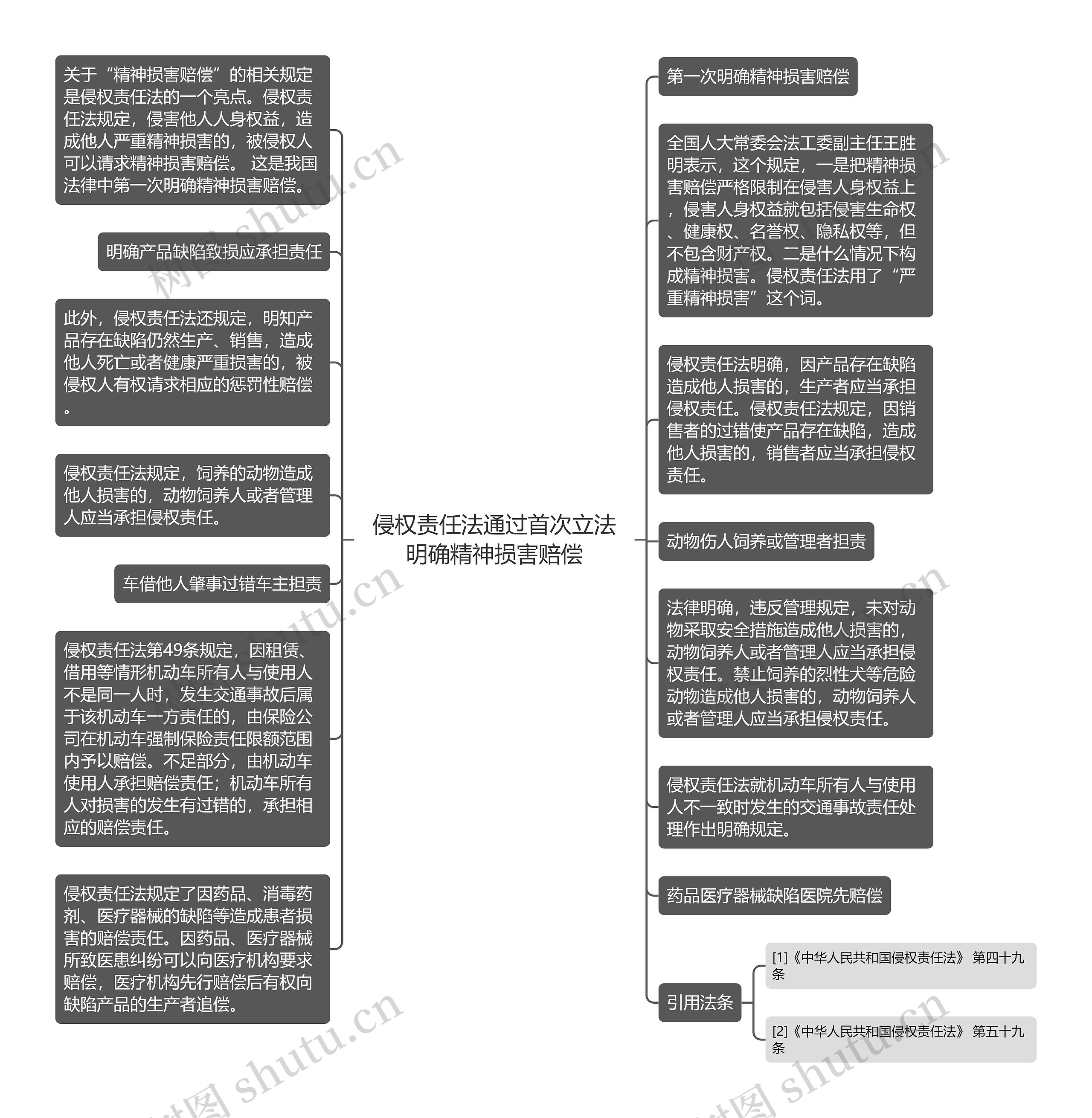 侵权责任法通过首次立法明确精神损害赔偿思维导图