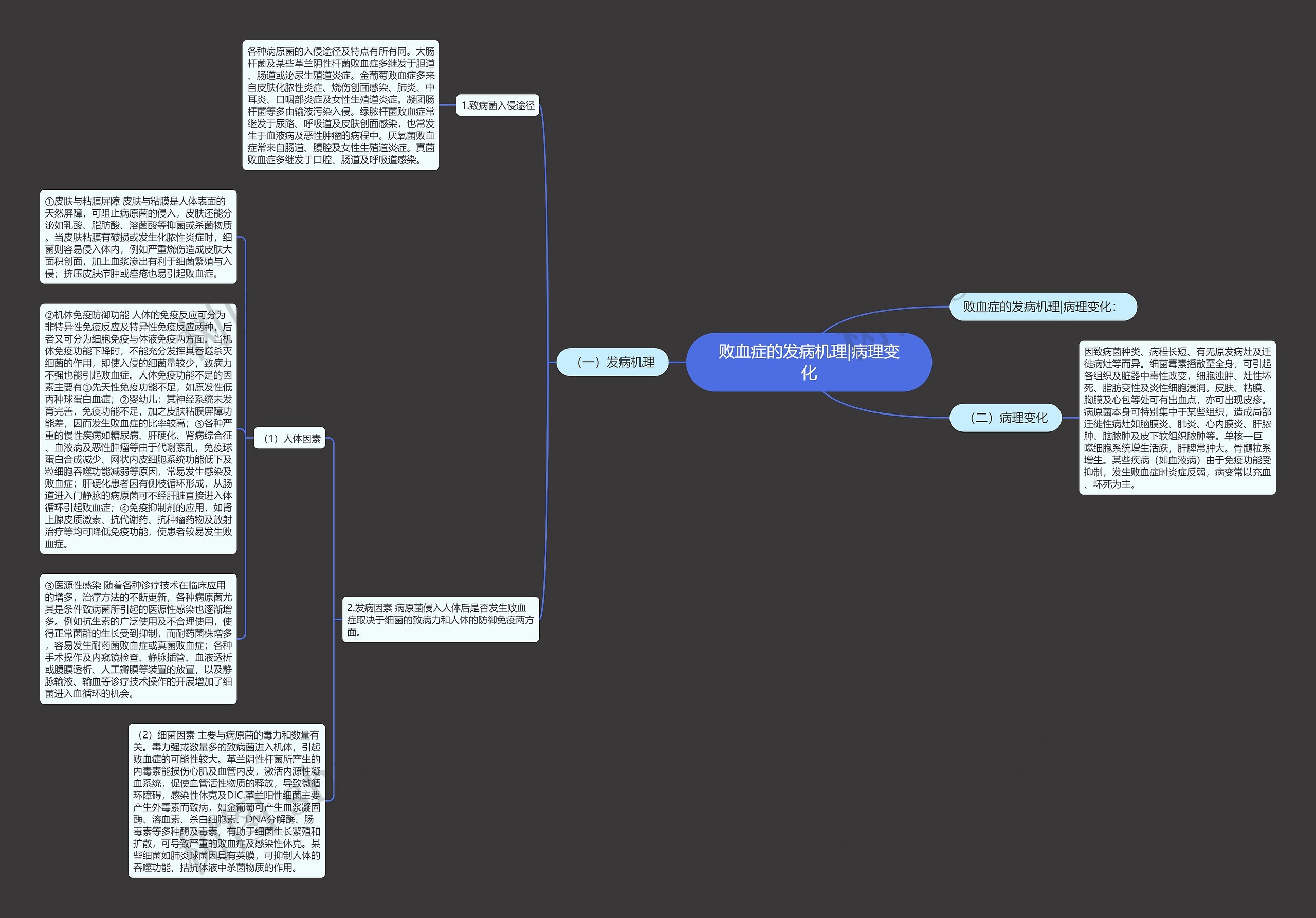 败血症的发病机理|病理变化思维导图