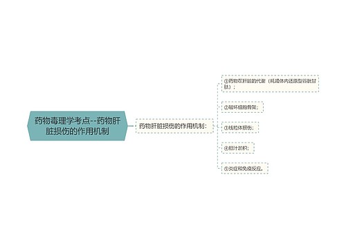 药物毒理学考点--药物肝脏损伤的作用机制