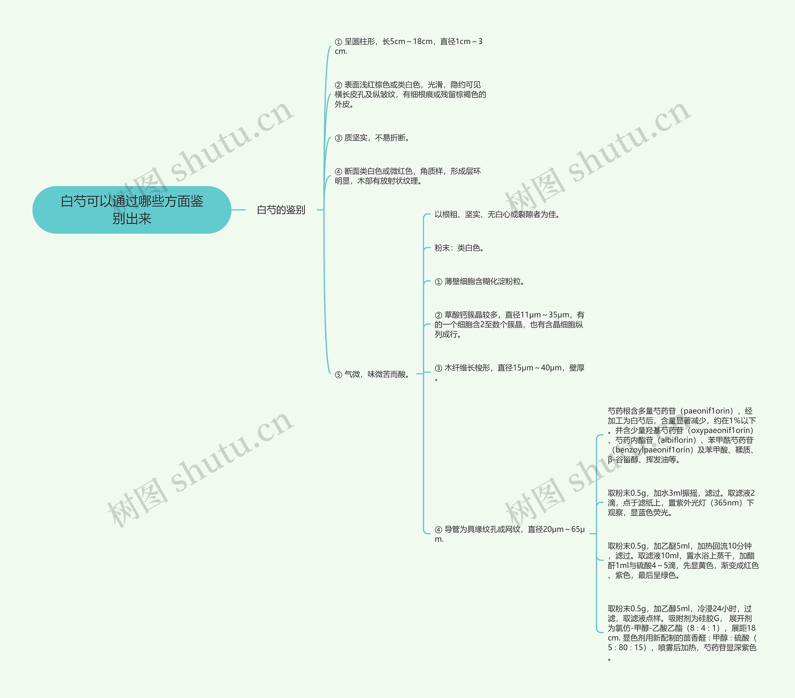 白芍可以通过哪些方面鉴别出来思维导图