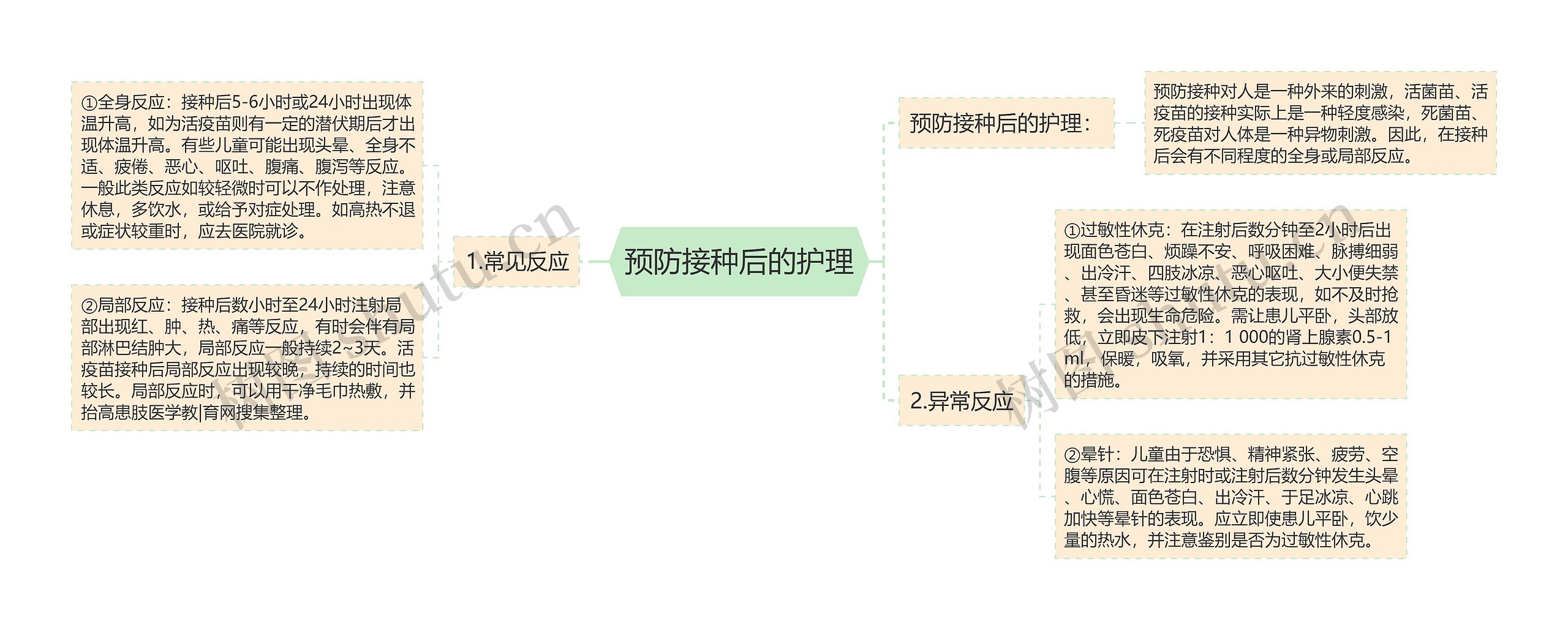 预防接种后的护理思维导图