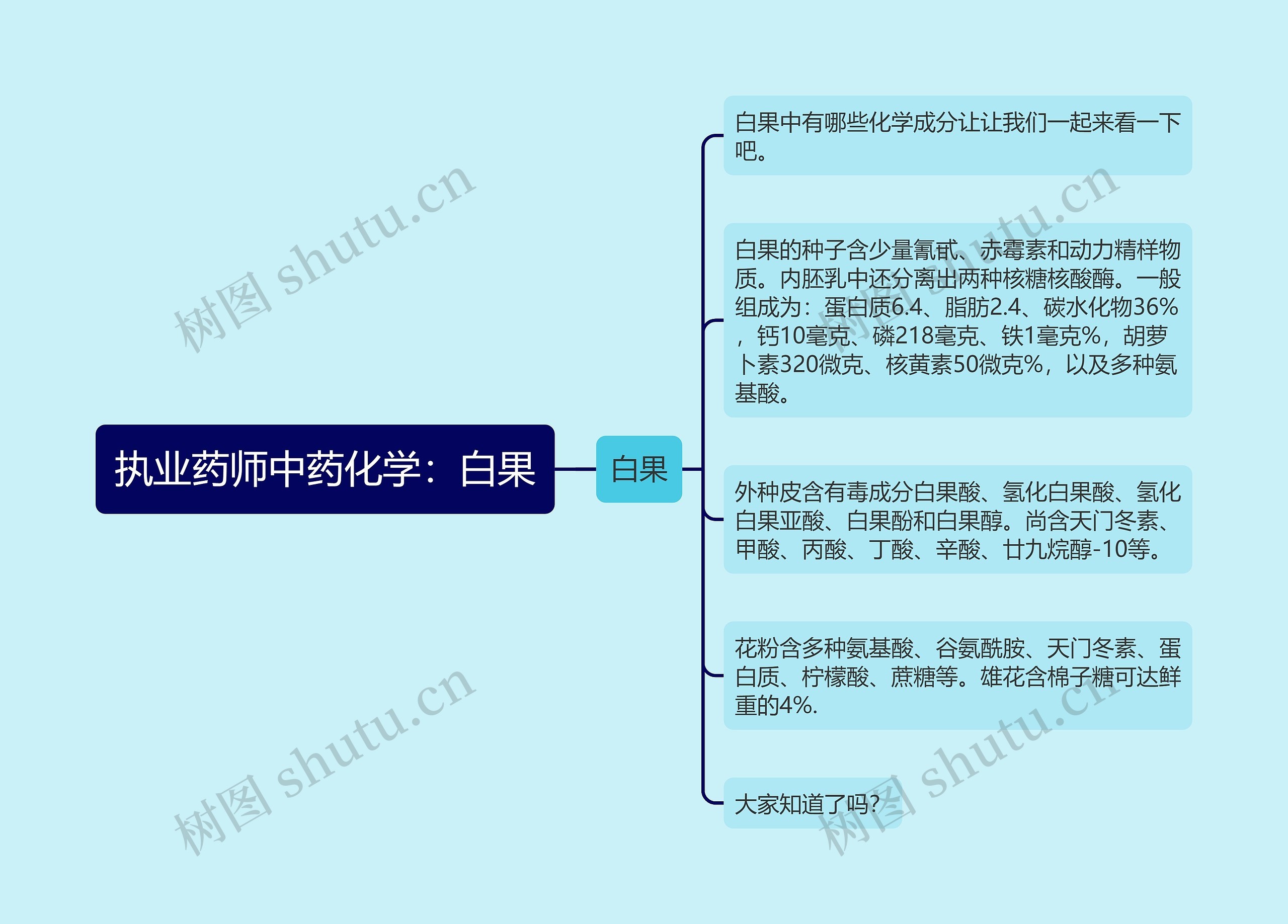 执业药师中药化学：白果思维导图