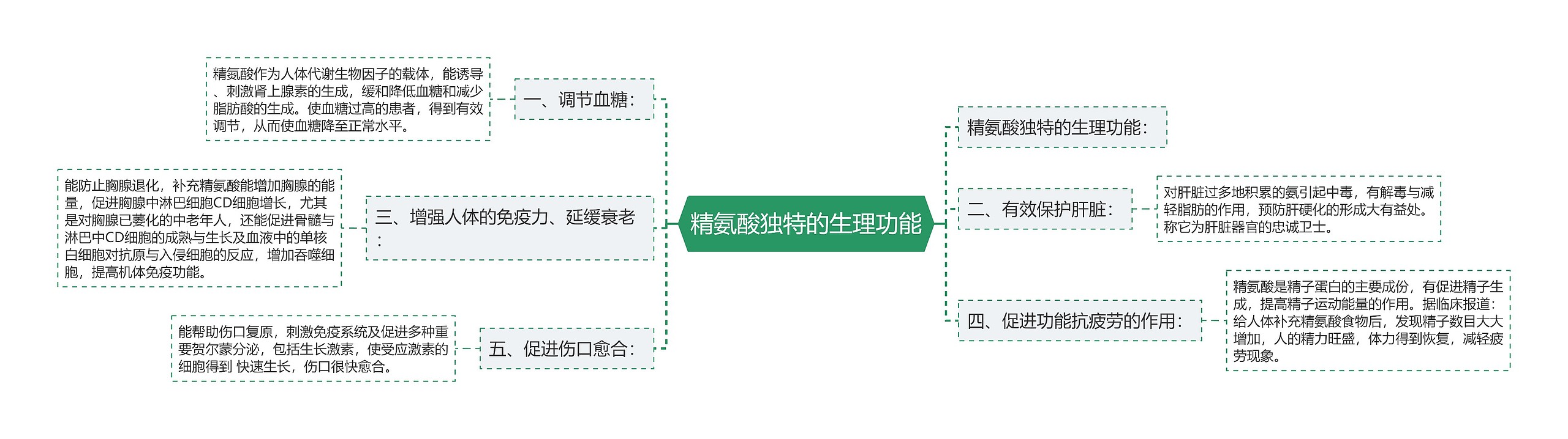 精氨酸独特的生理功能