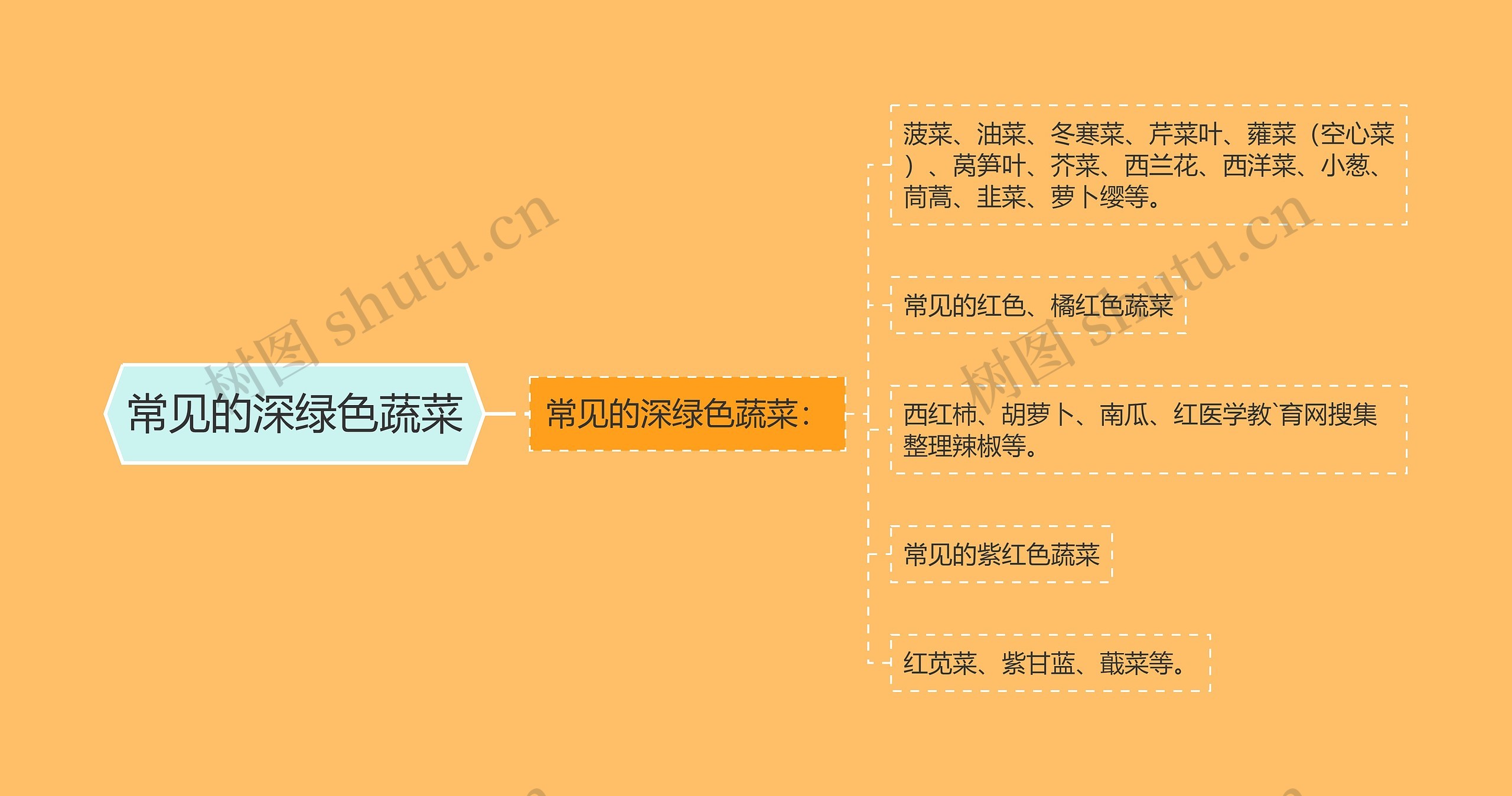 常见的深绿色蔬菜 常见的深绿色蔬菜