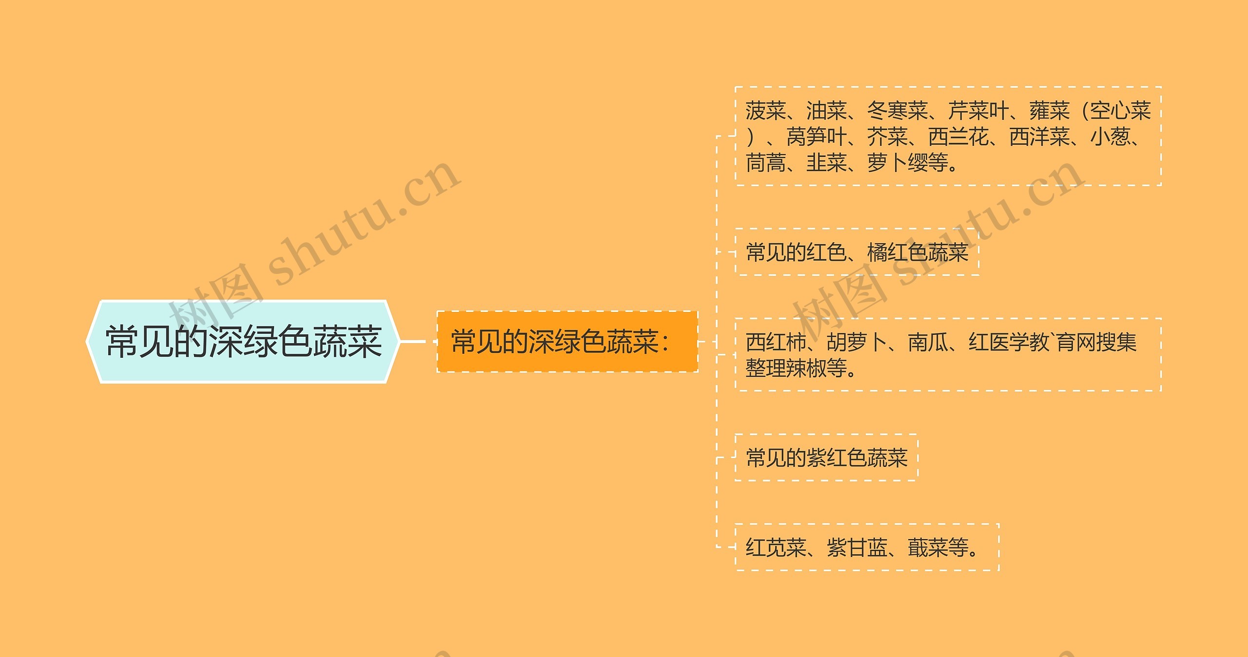 常见的深绿色蔬菜思维导图