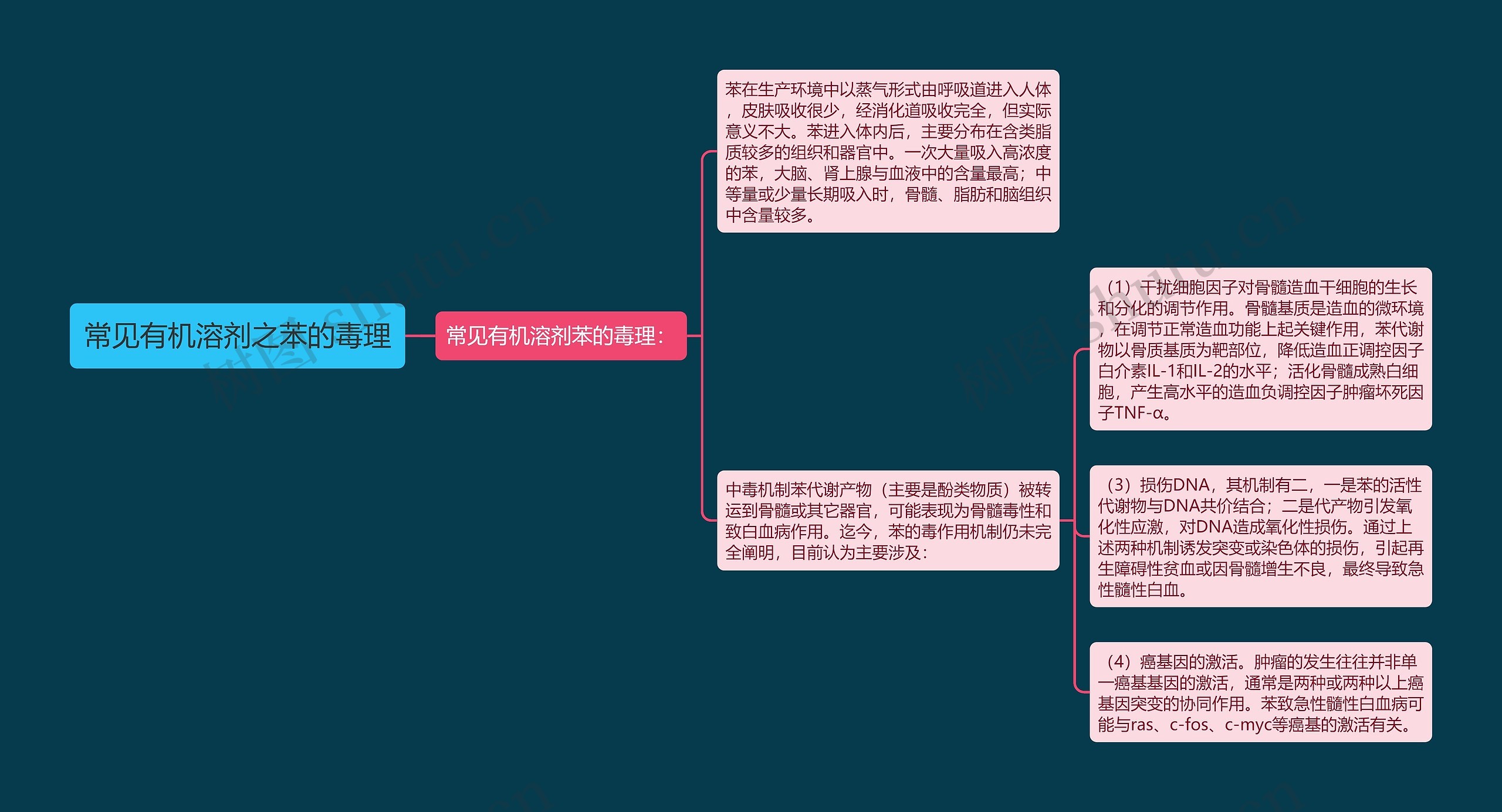 常见有机溶剂之苯的毒理