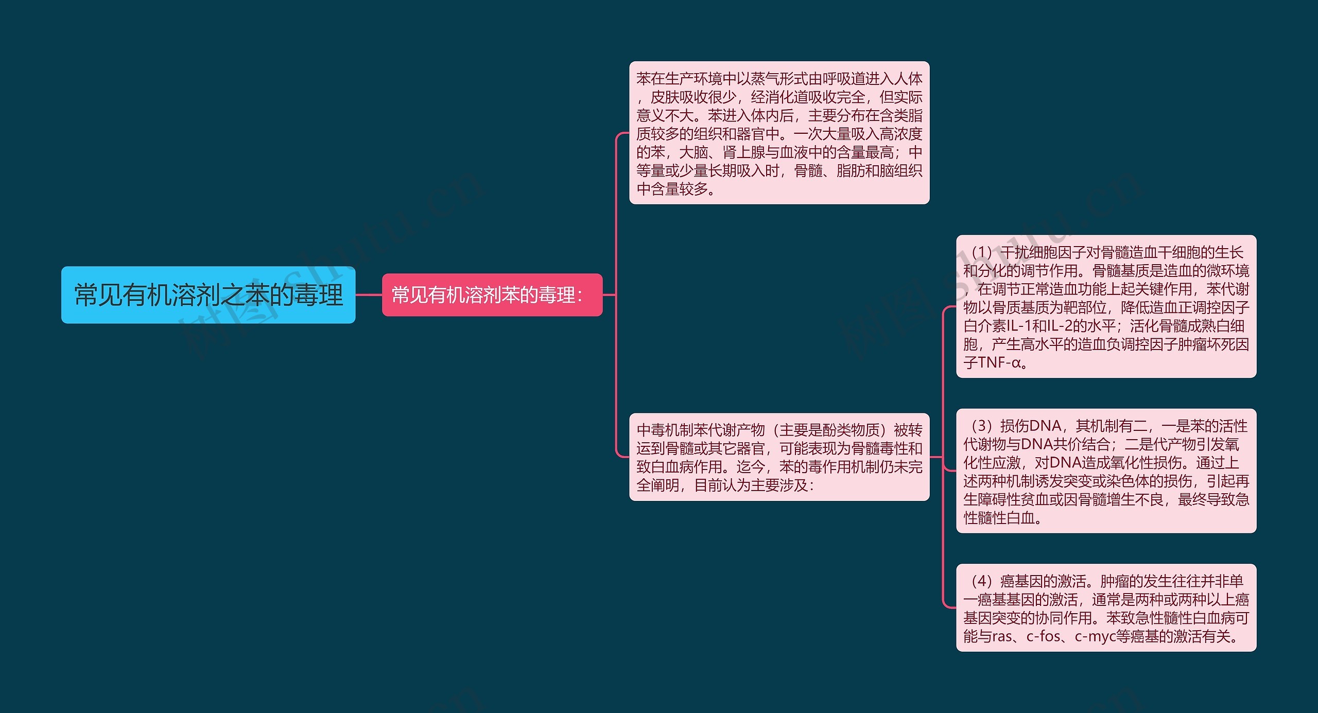 常见有机溶剂之苯的毒理思维导图