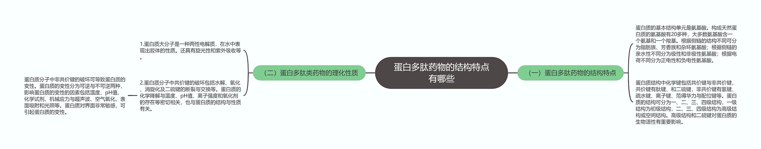 蛋白多肽药物的结构特点有哪些思维导图