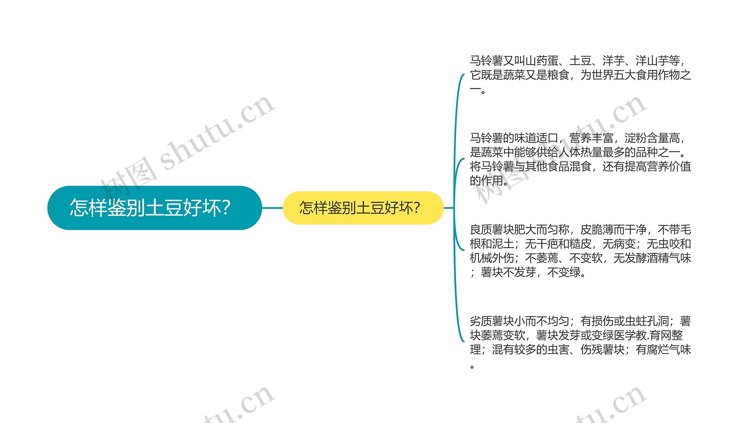 怎样鉴别土豆好坏？思维导图