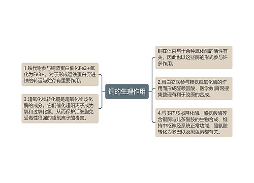 铜的生理作用