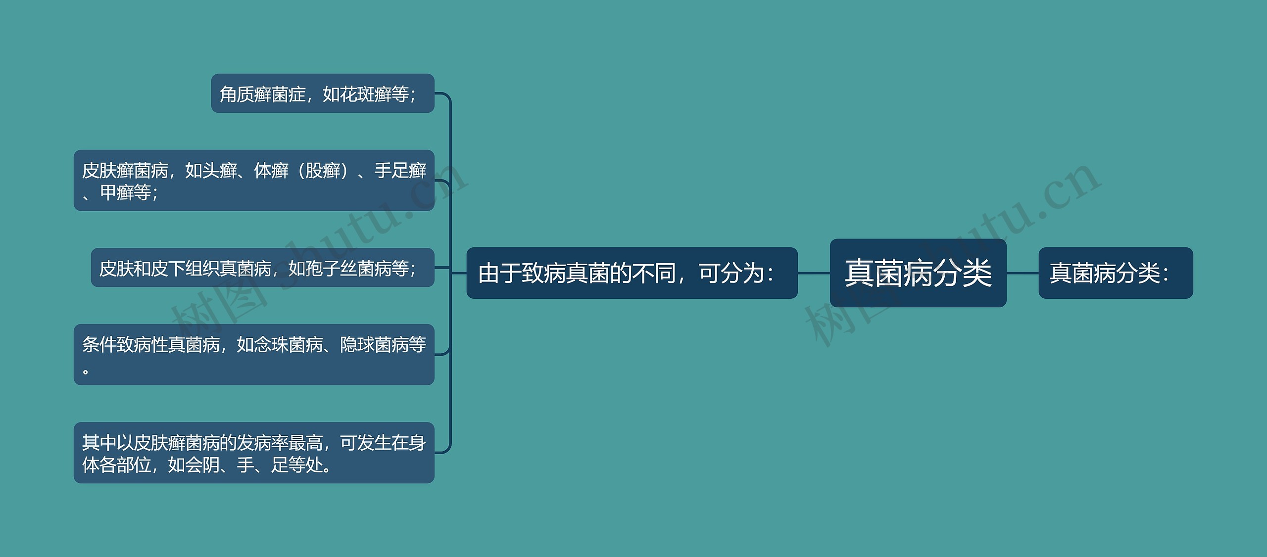 真菌病分类思维导图