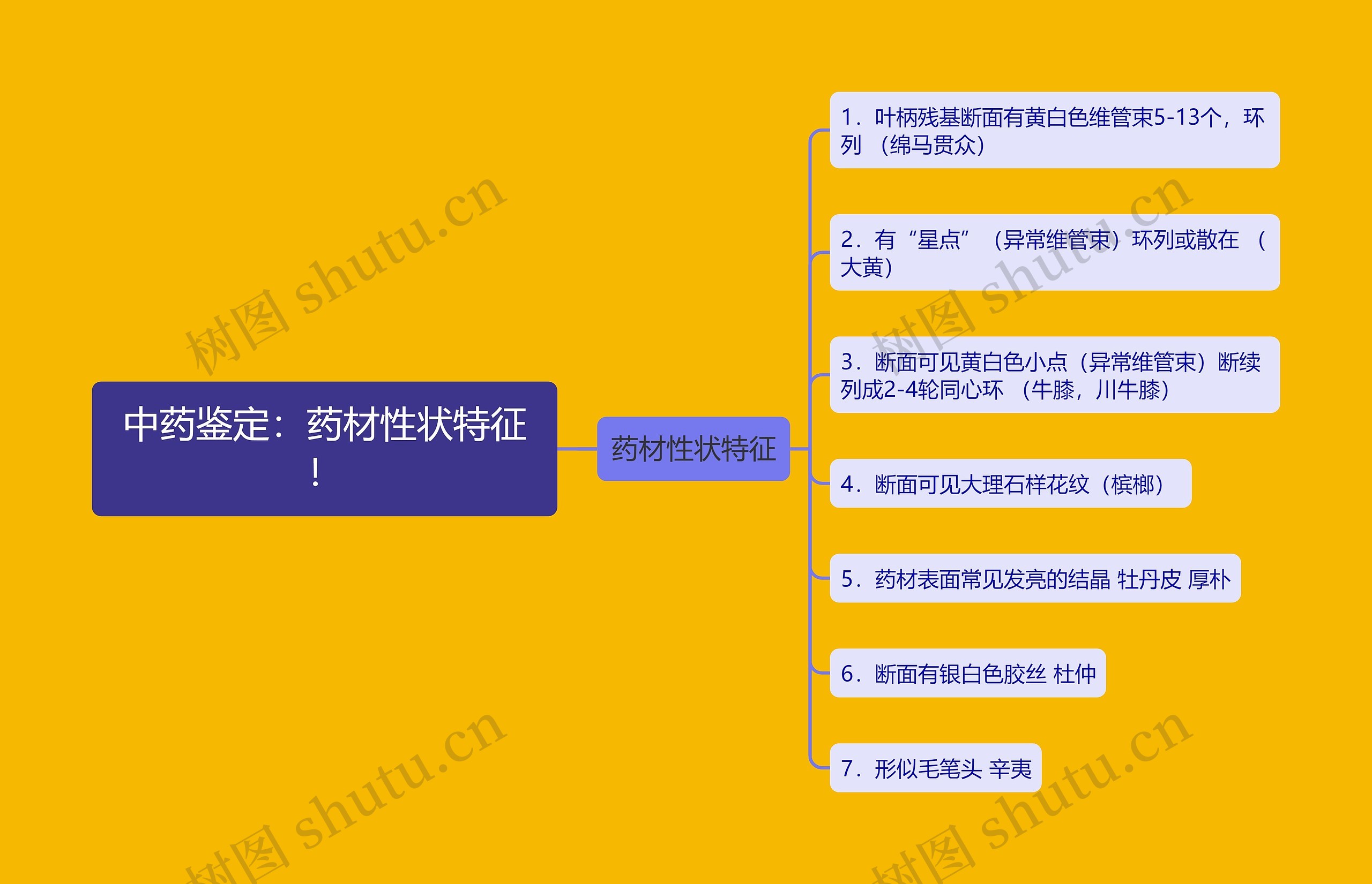 中药鉴定：药材性状特征！思维导图