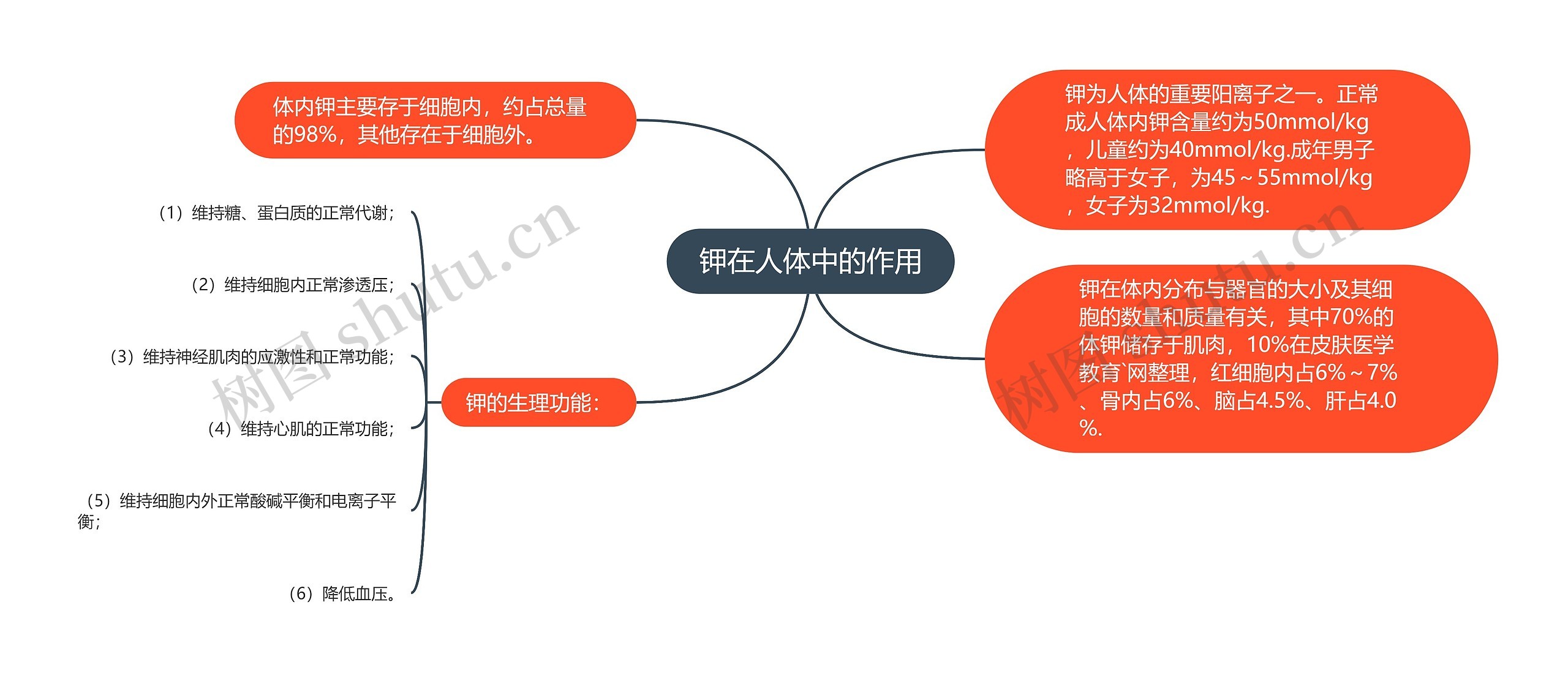 钾在人体中的作用思维导图