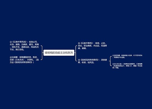 矮杨梅的功能主治和附方