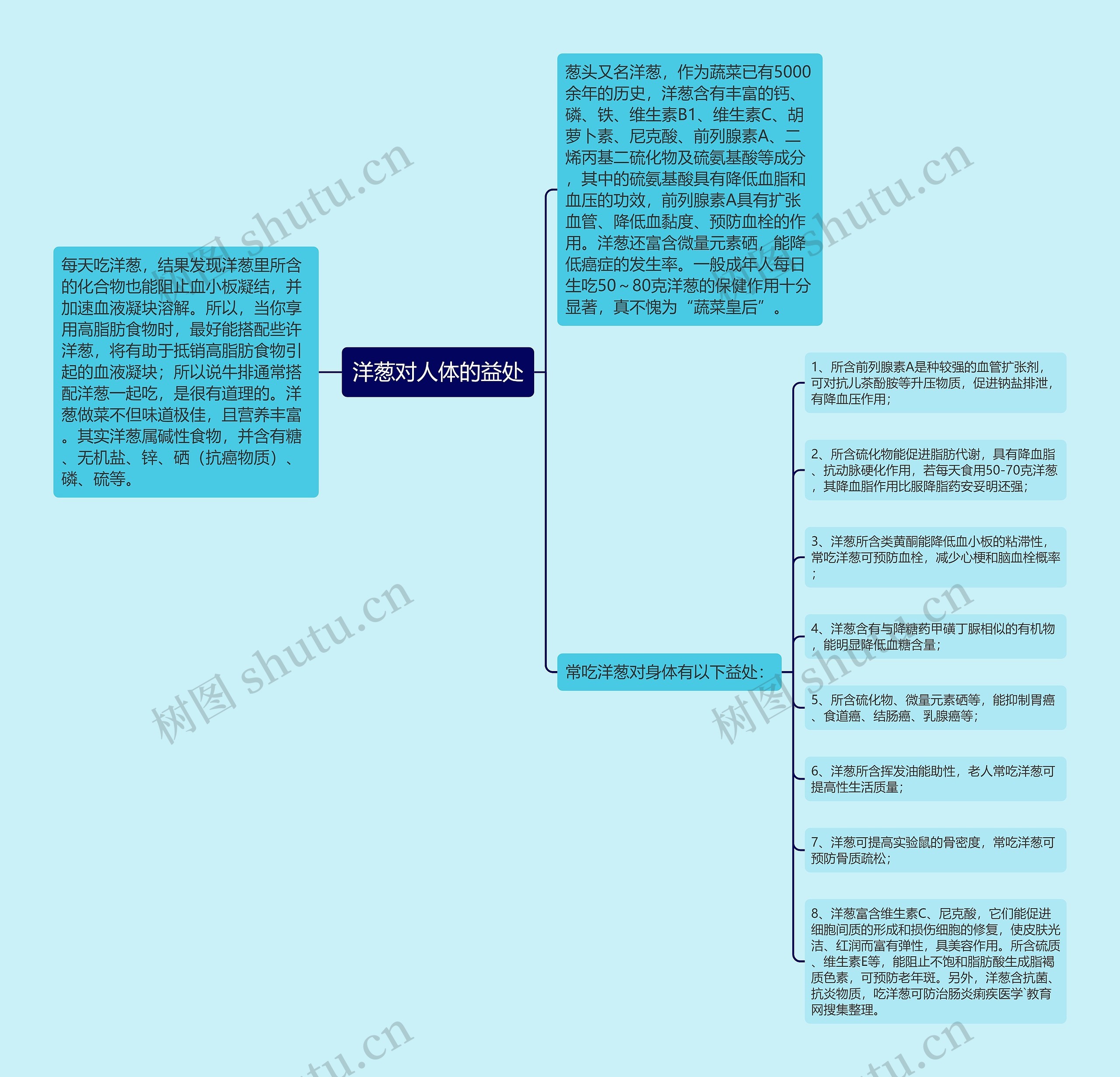 洋葱对人体的益处思维导图