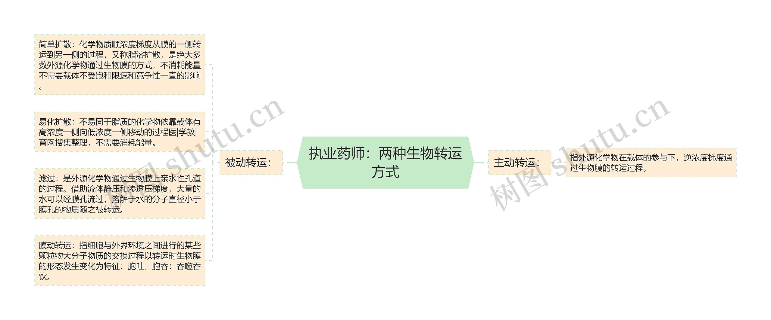 执业药师：两种生物转运方式