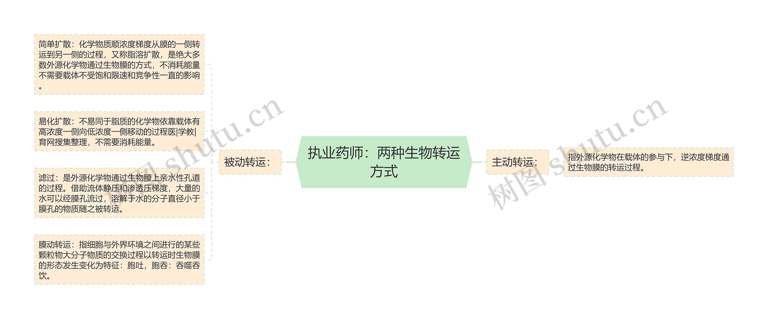 执业药师：两种生物转运方式思维导图