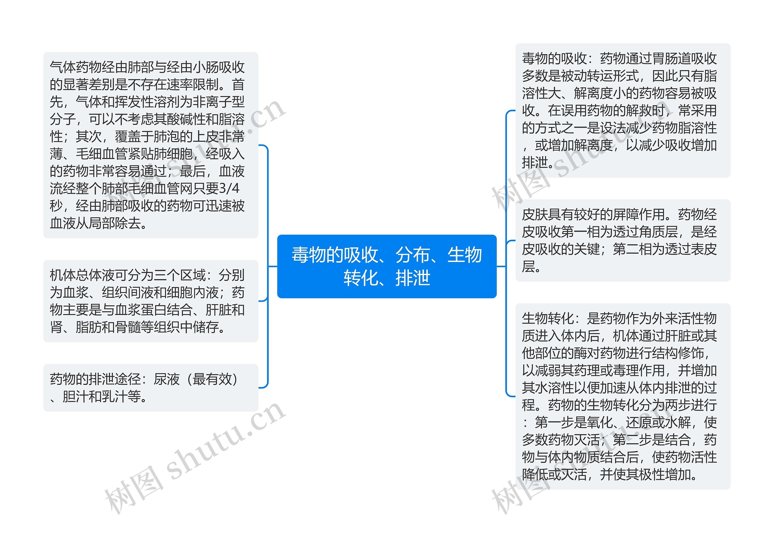 毒物的吸收、分布、生物转化、排泄思维导图