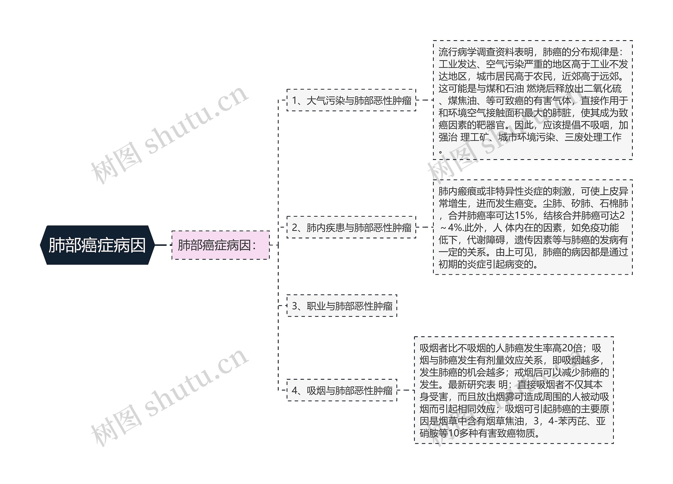 肺部癌症病因思维导图